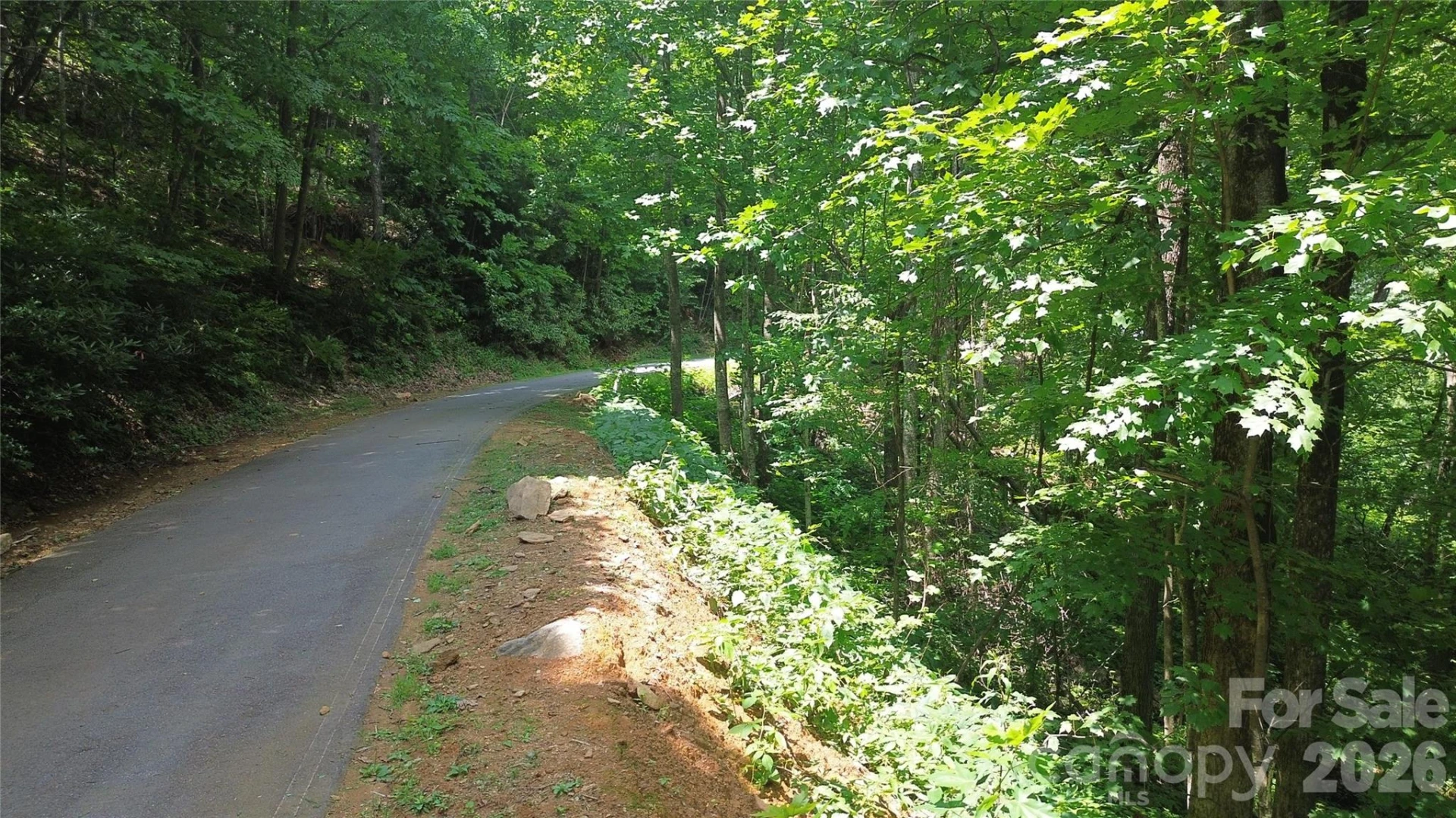 7 White Birch Court - Photo 5