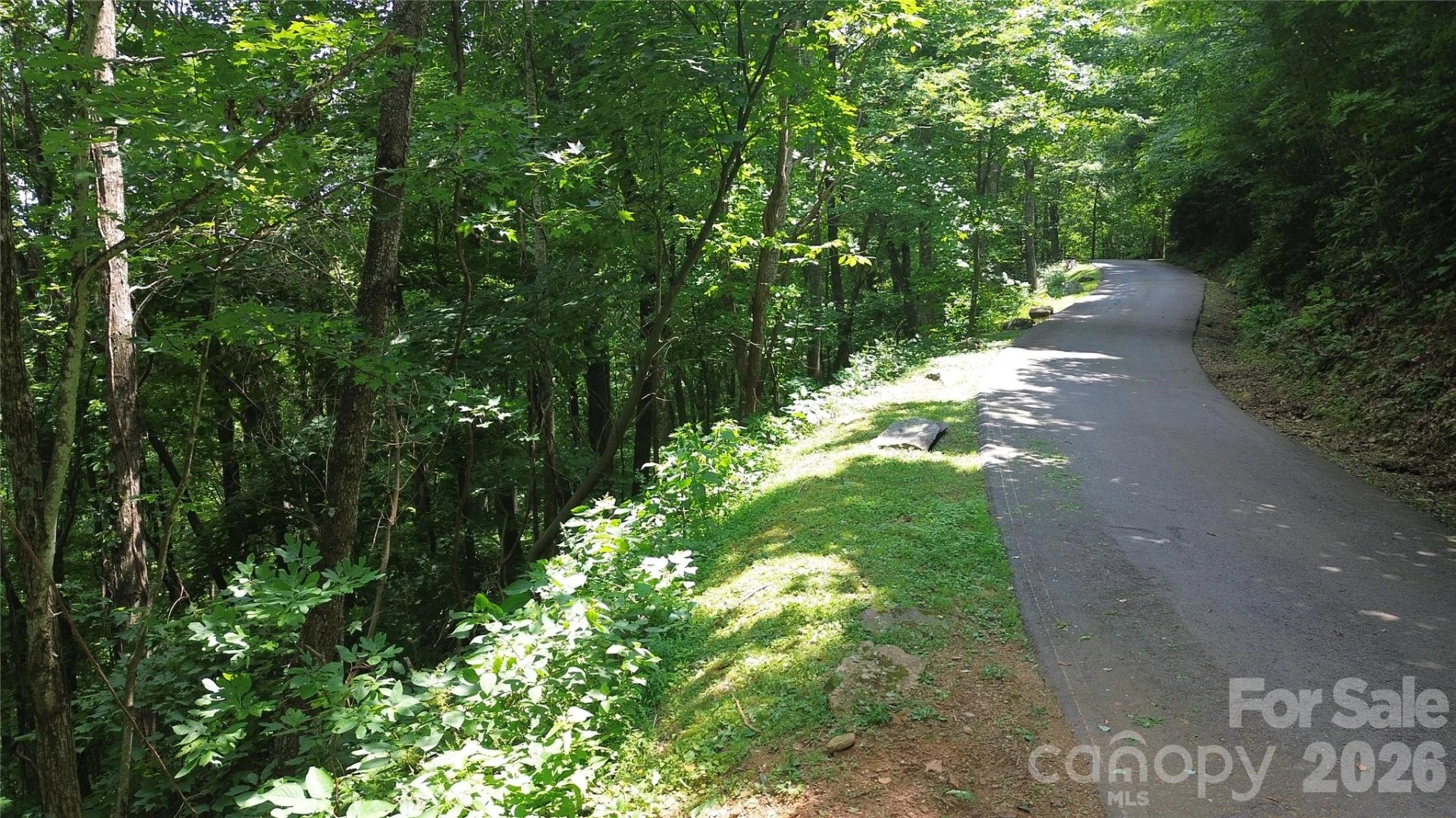 7 White Birch Court - Photo 6