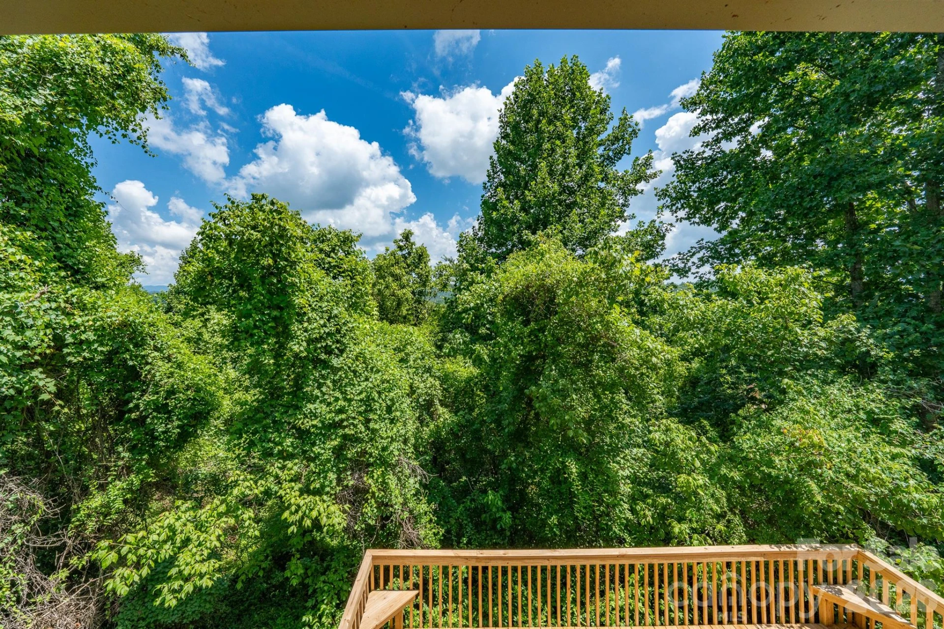 366 Cabin Hollow Drive - Photo 34