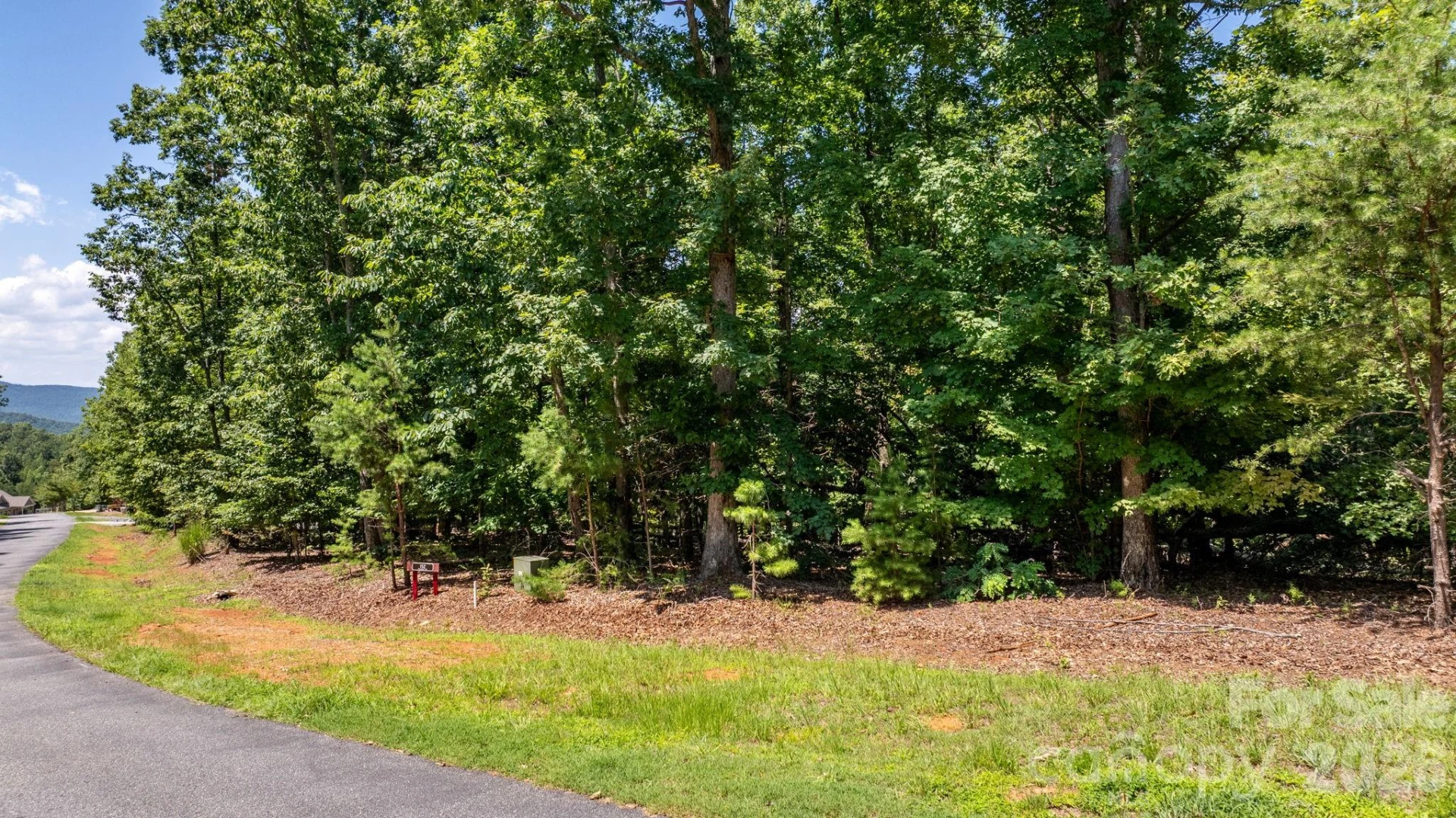 152 Woodgate Trail #95 - Photo 3