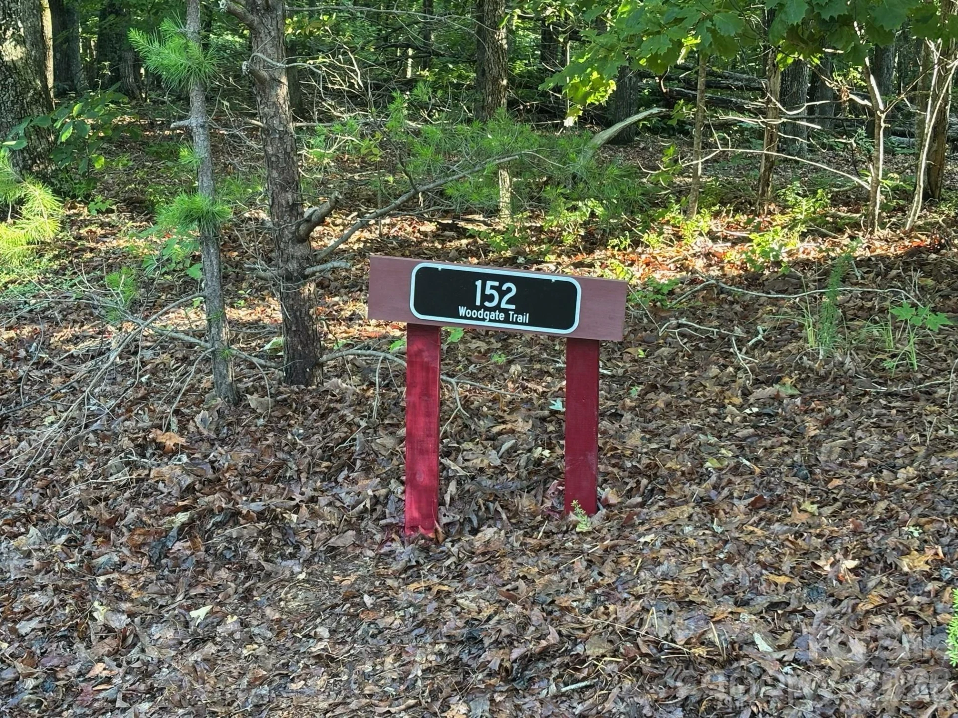 152 Woodgate Trail #95 - Photo 4