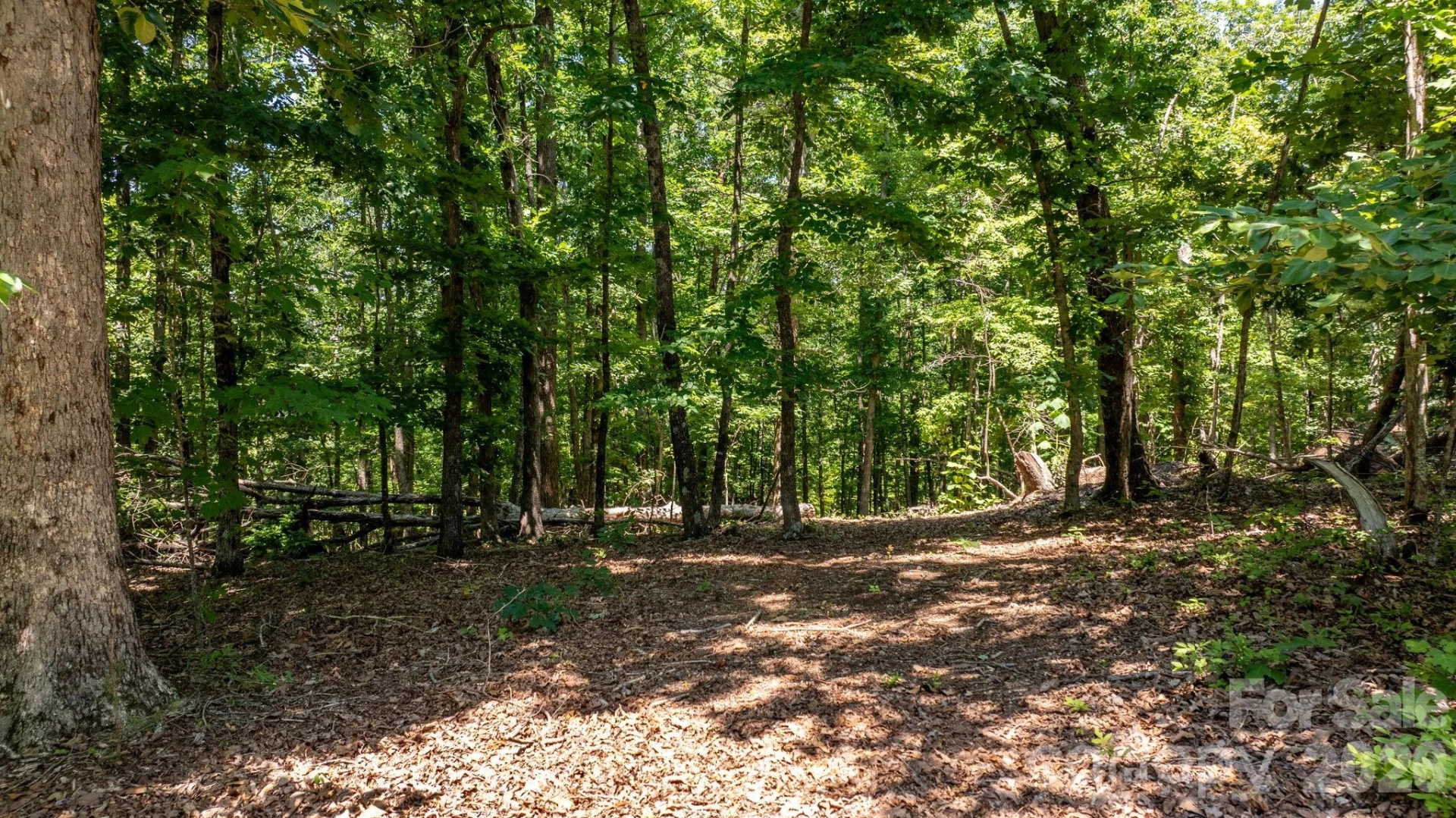 152 Woodgate Trail #95 - Photo 5