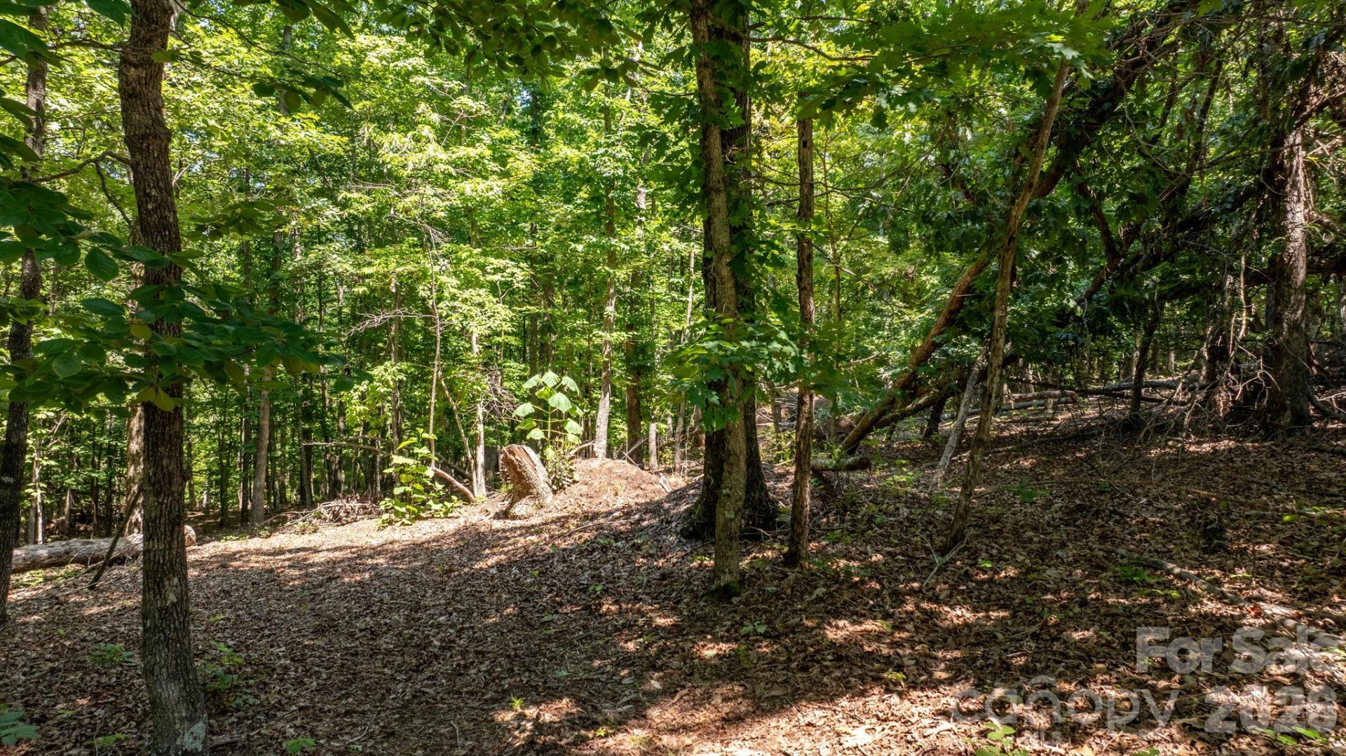 152 Woodgate Trail #95 - Photo 6