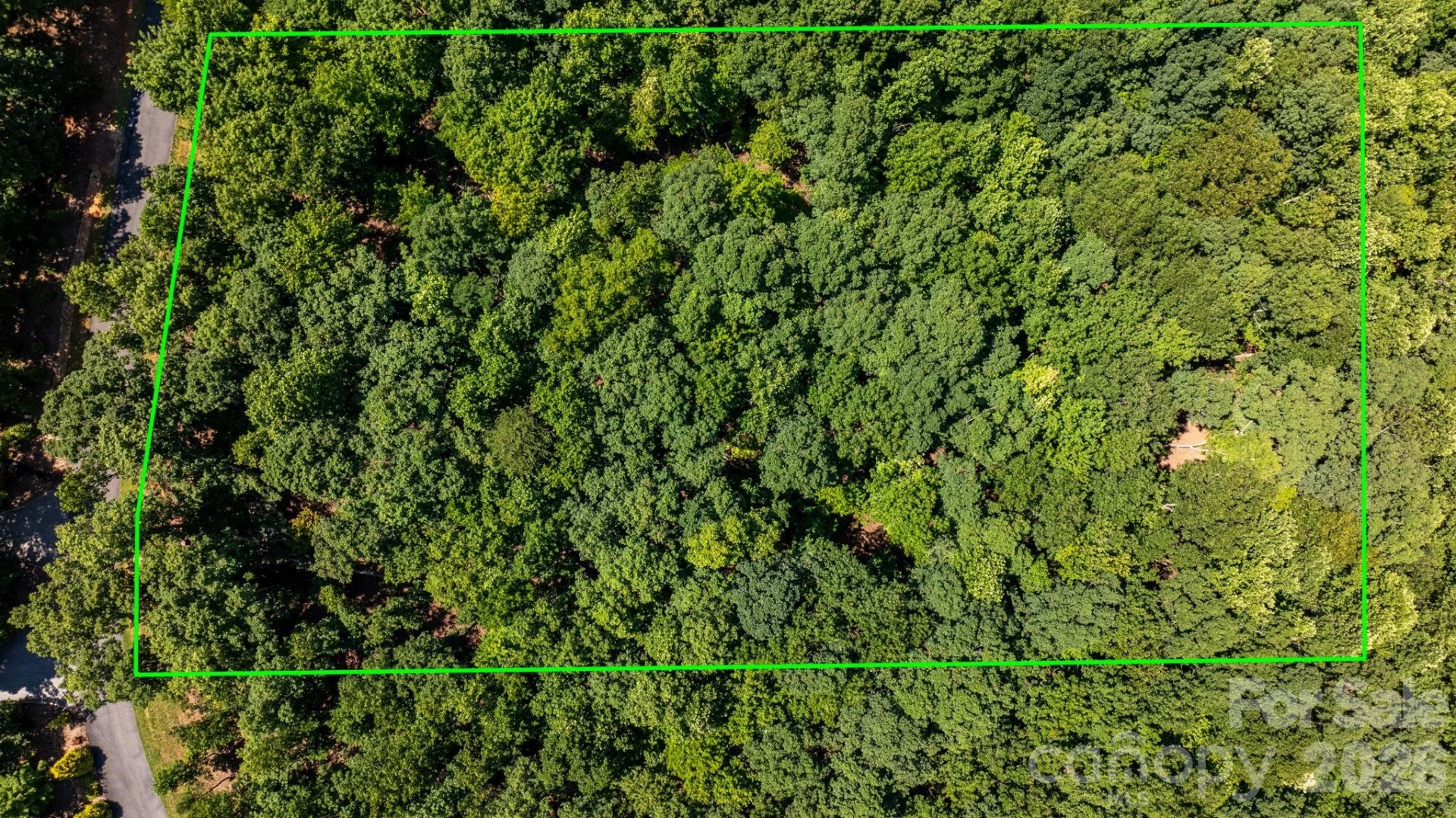 152 Woodgate Trail #95 - Photo 8