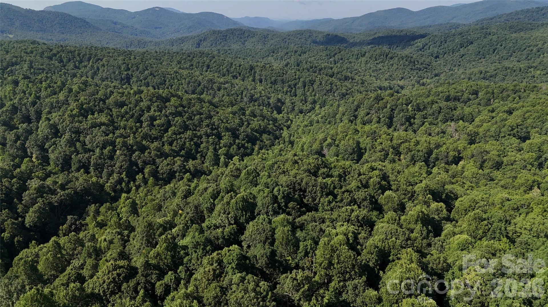 454 Forest Brook Road - Photo 11