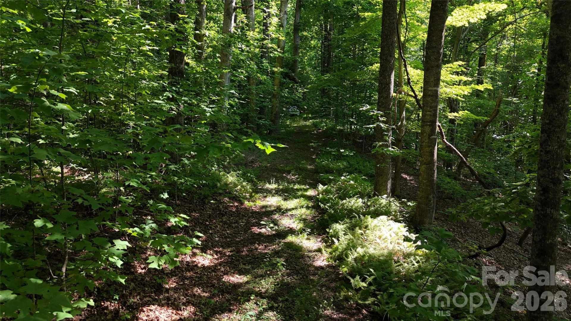 454 Forest Brook Road - Photo 15