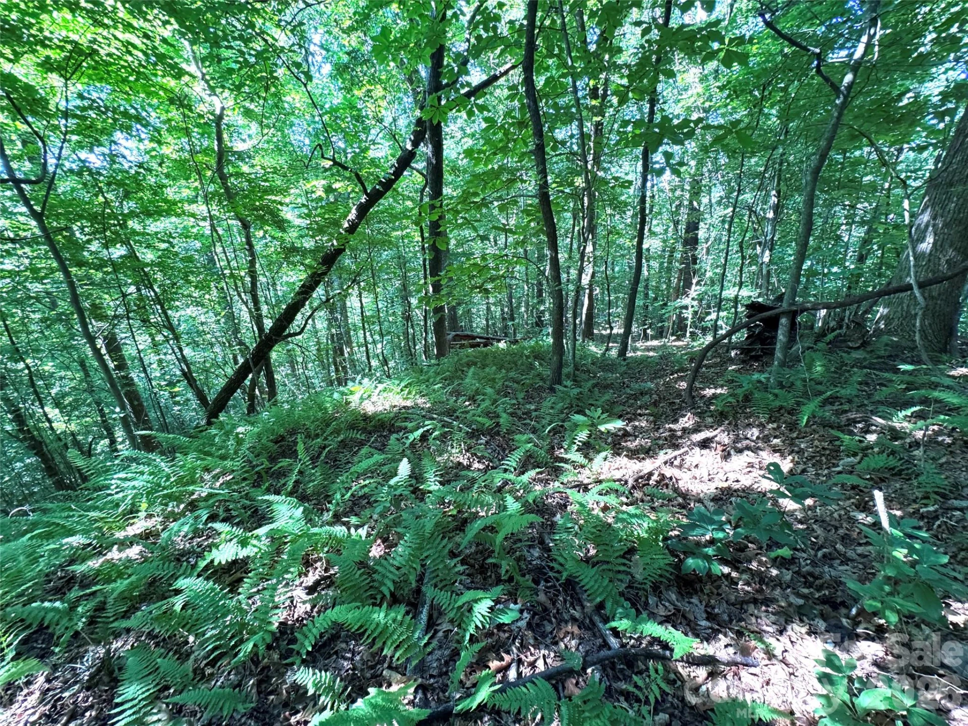454 Forest Brook Road - Photo 16