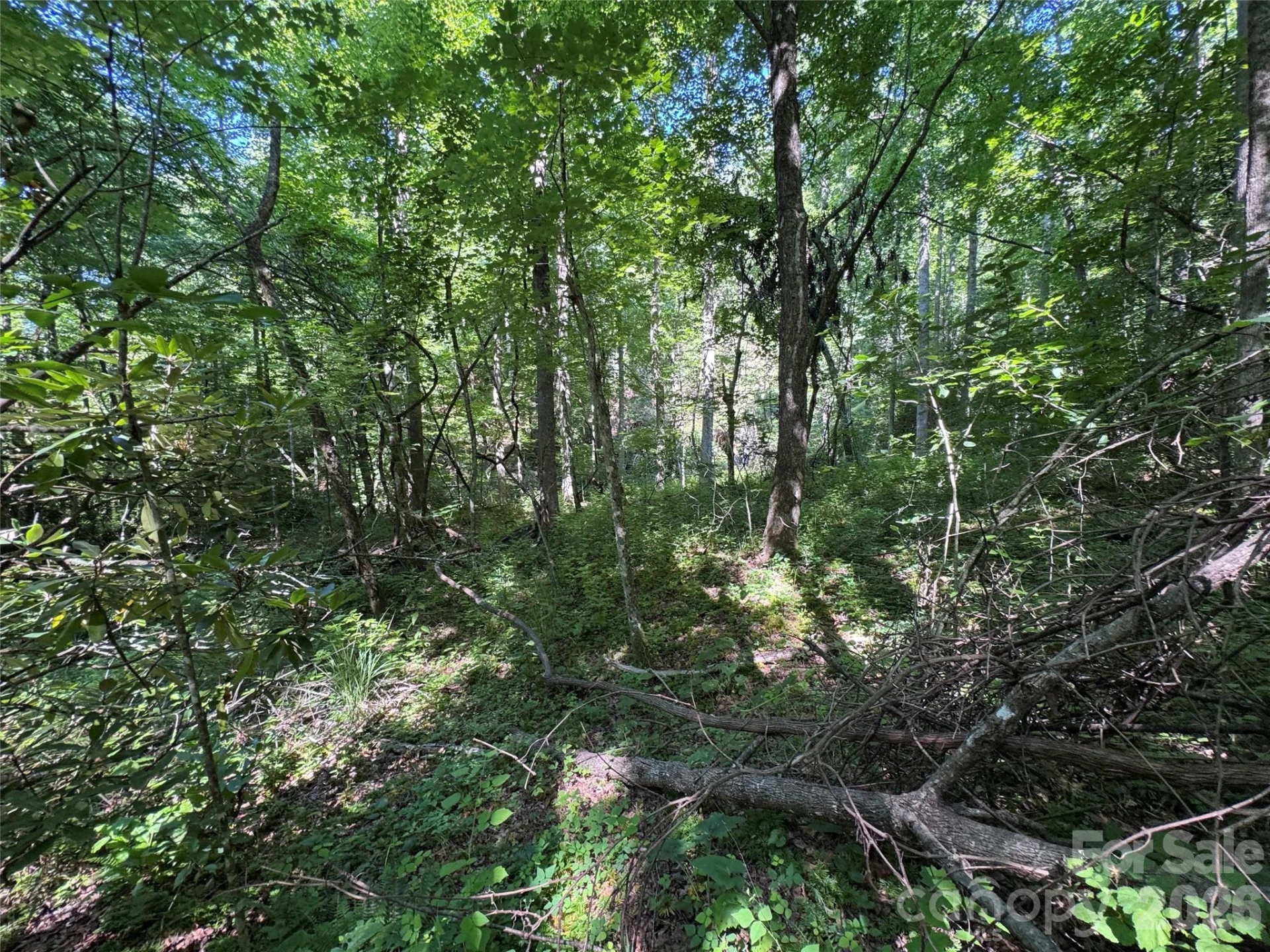 454 Forest Brook Road - Photo 17