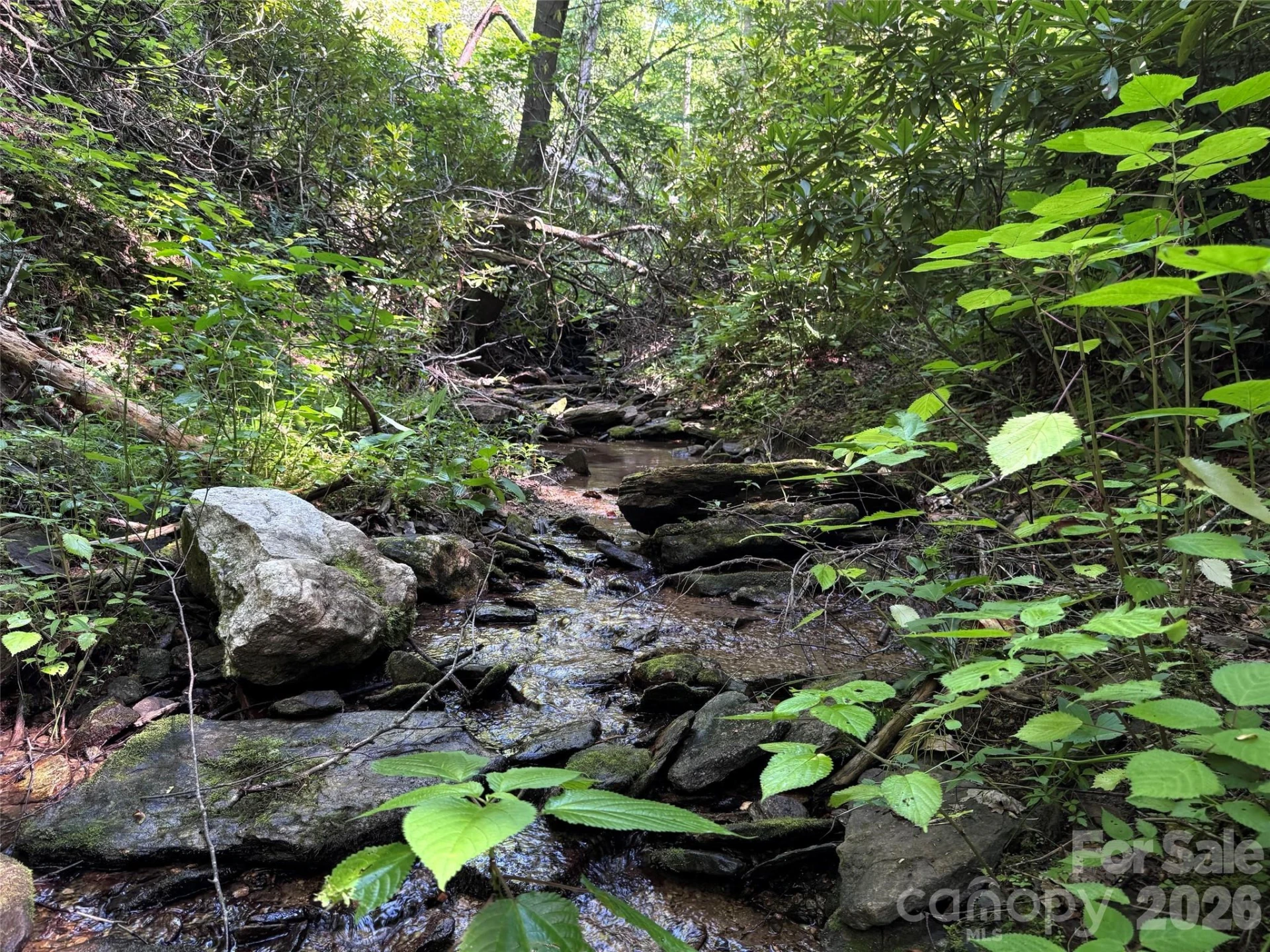 454 Forest Brook Road - Photo 18