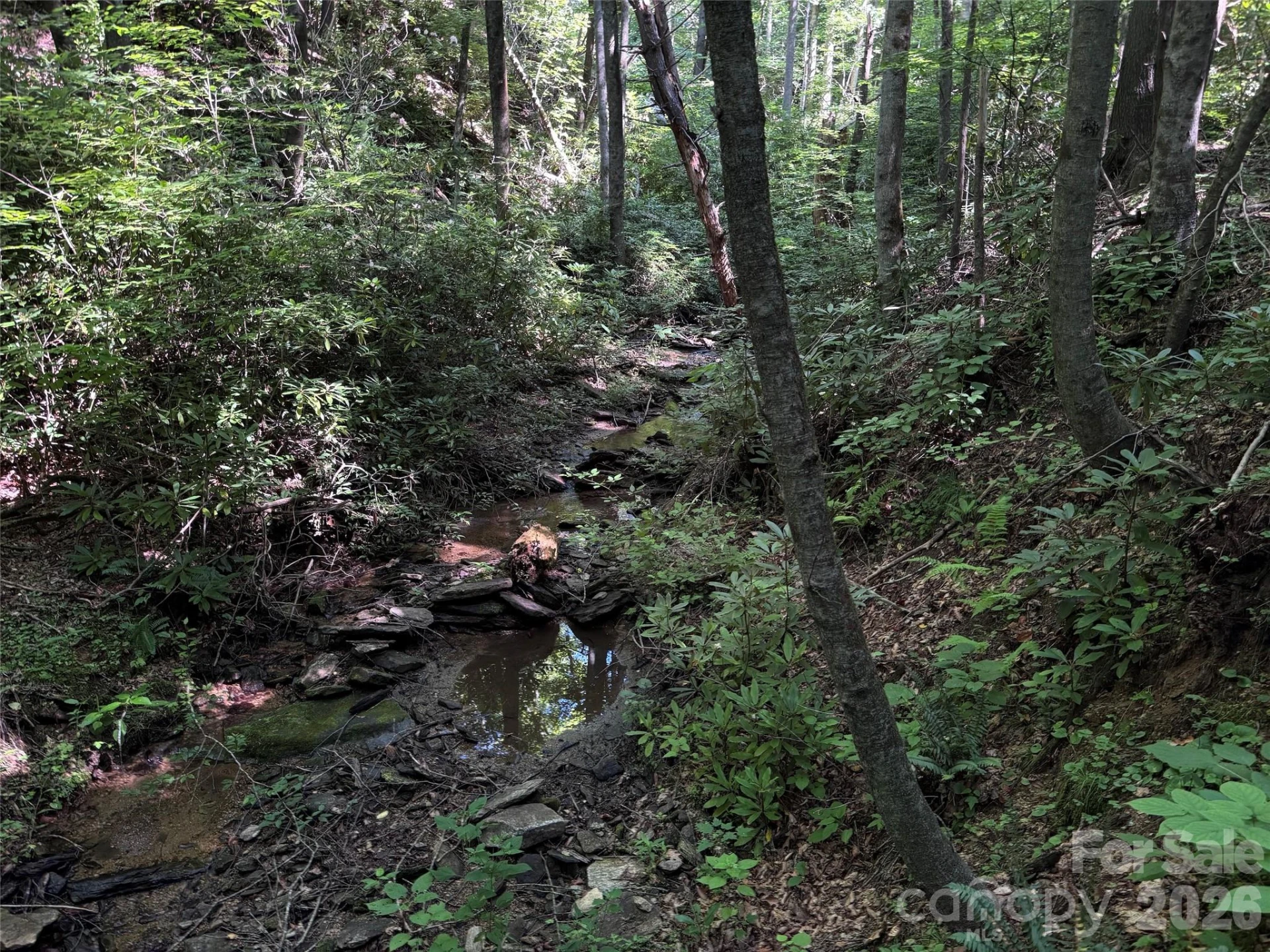 454 Forest Brook Road - Photo 19
