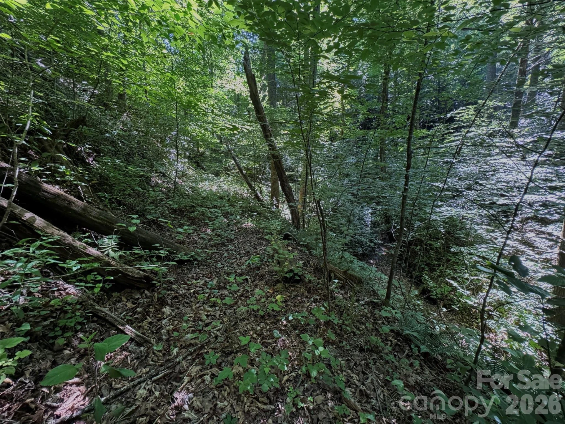 454 Forest Brook Road - Photo 20