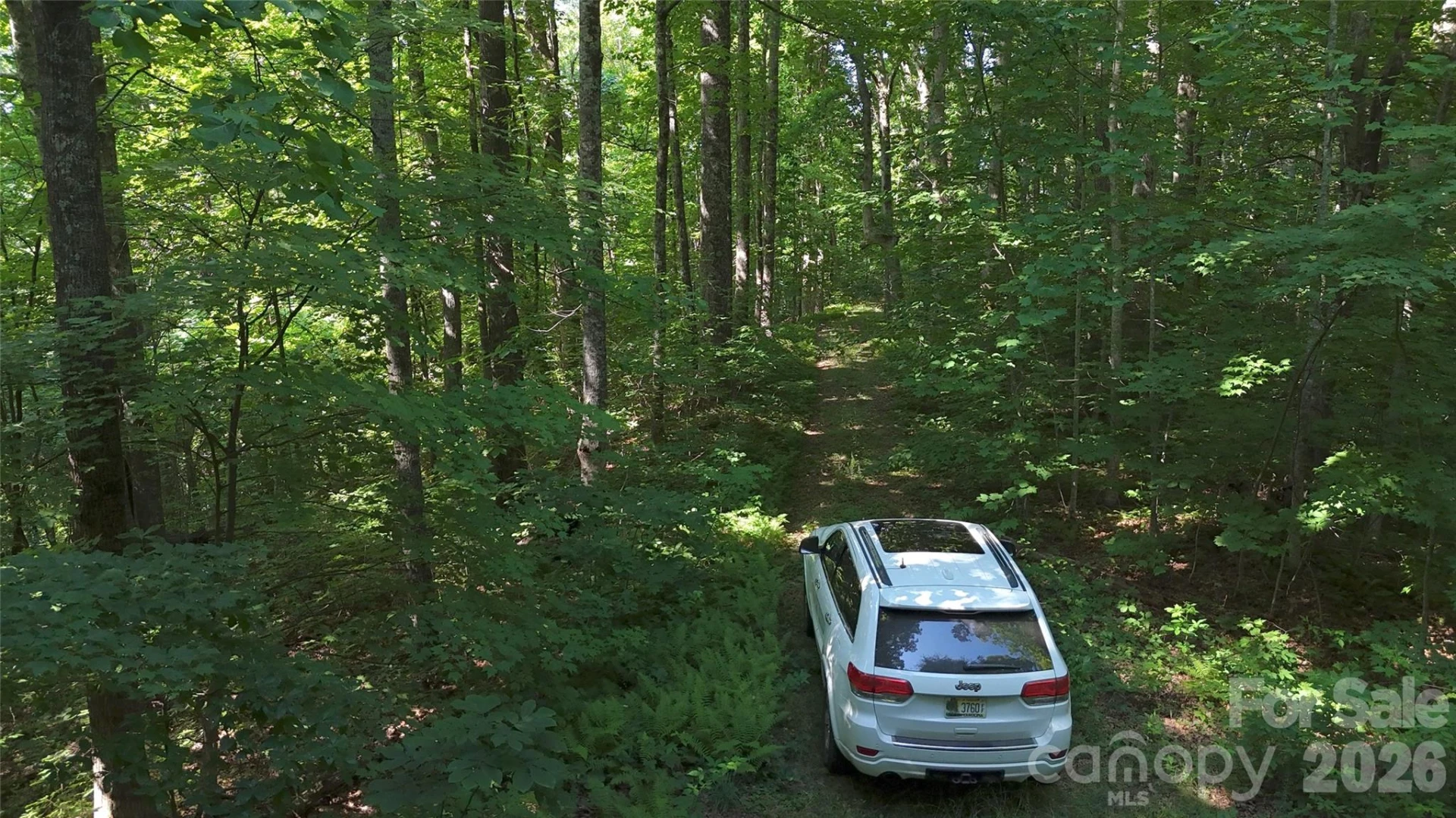 454 Forest Brook Road - Photo 3