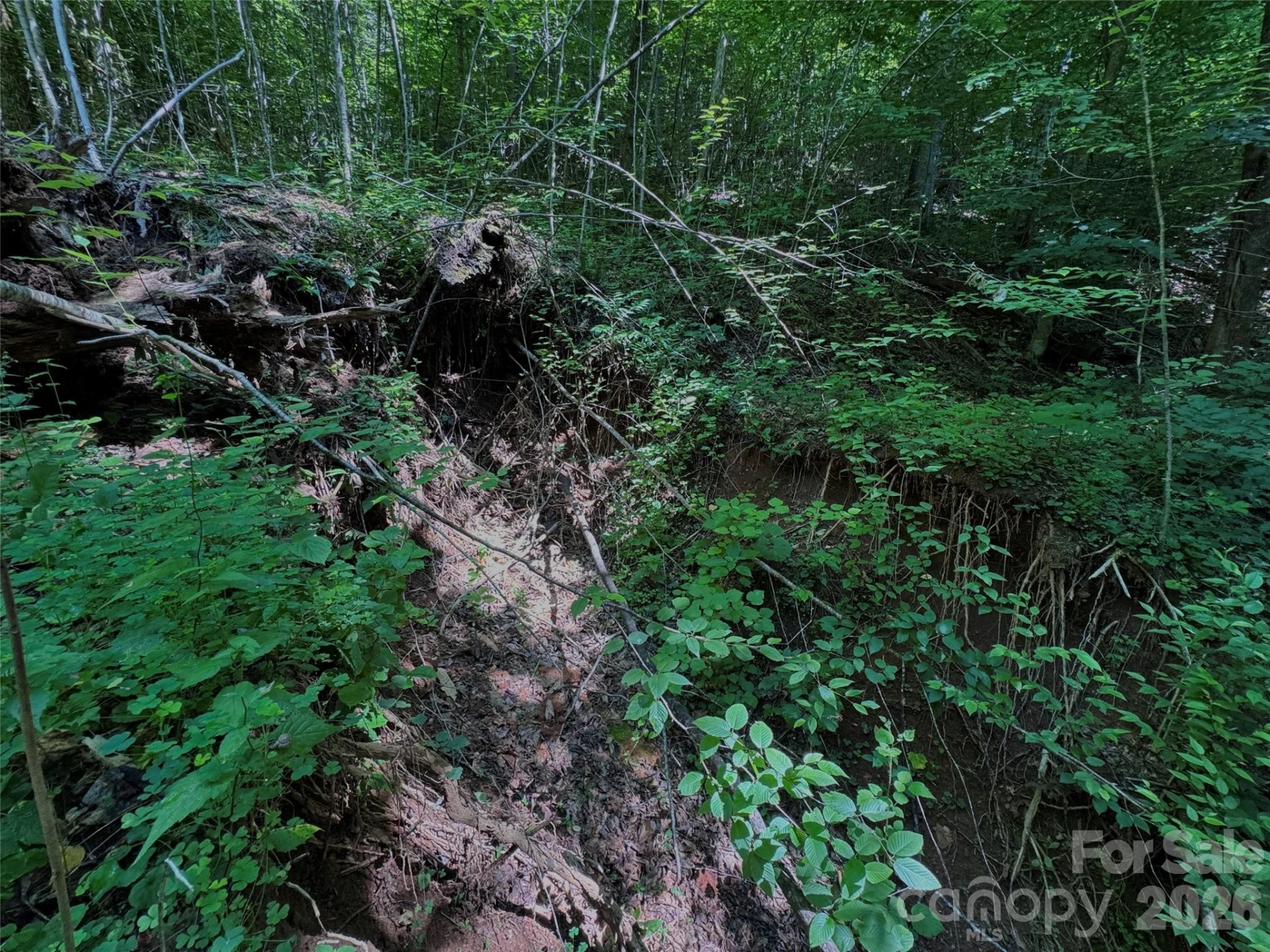 454 Forest Brook Road - Photo 21