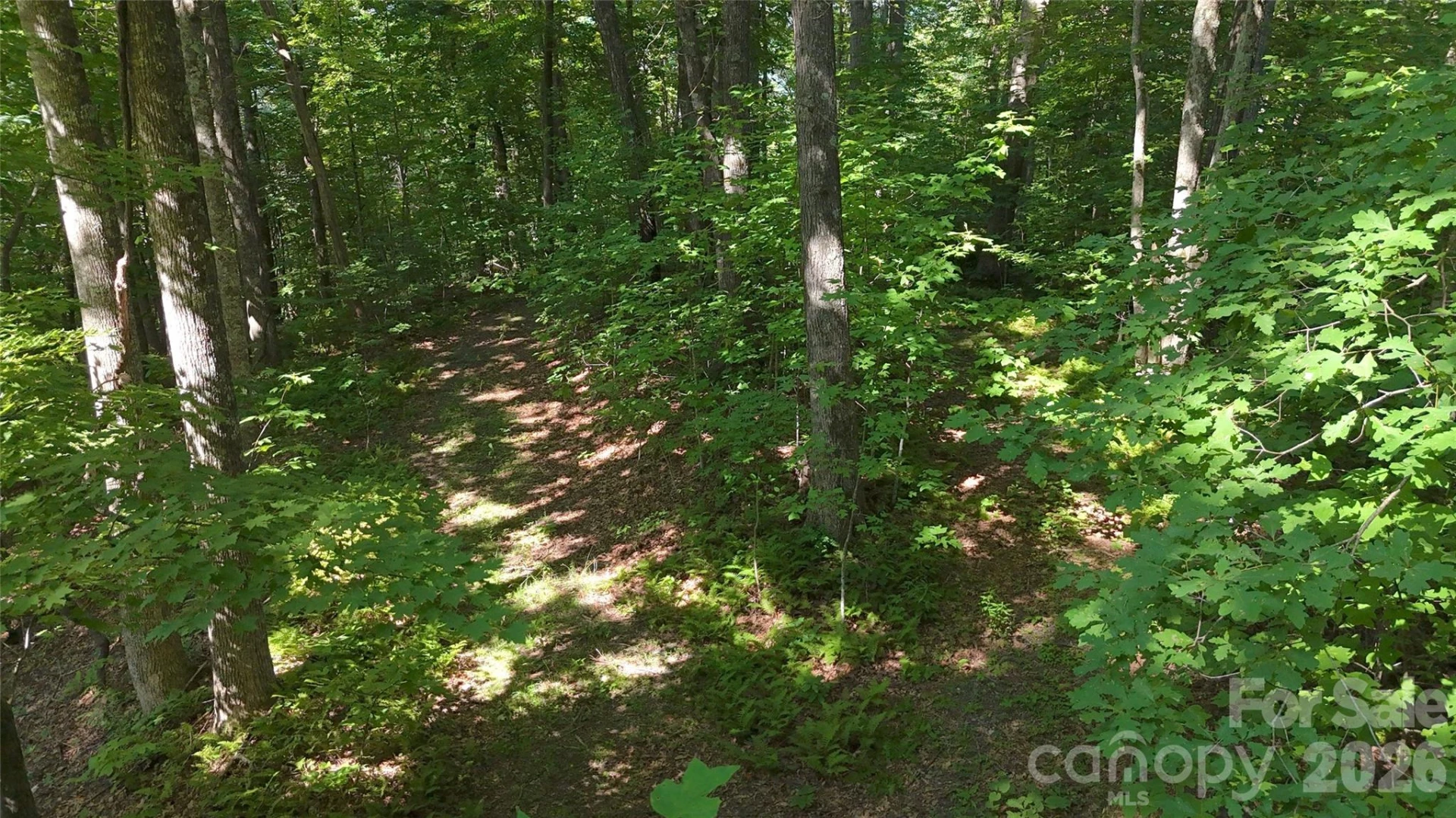 454 Forest Brook Road - Photo 22