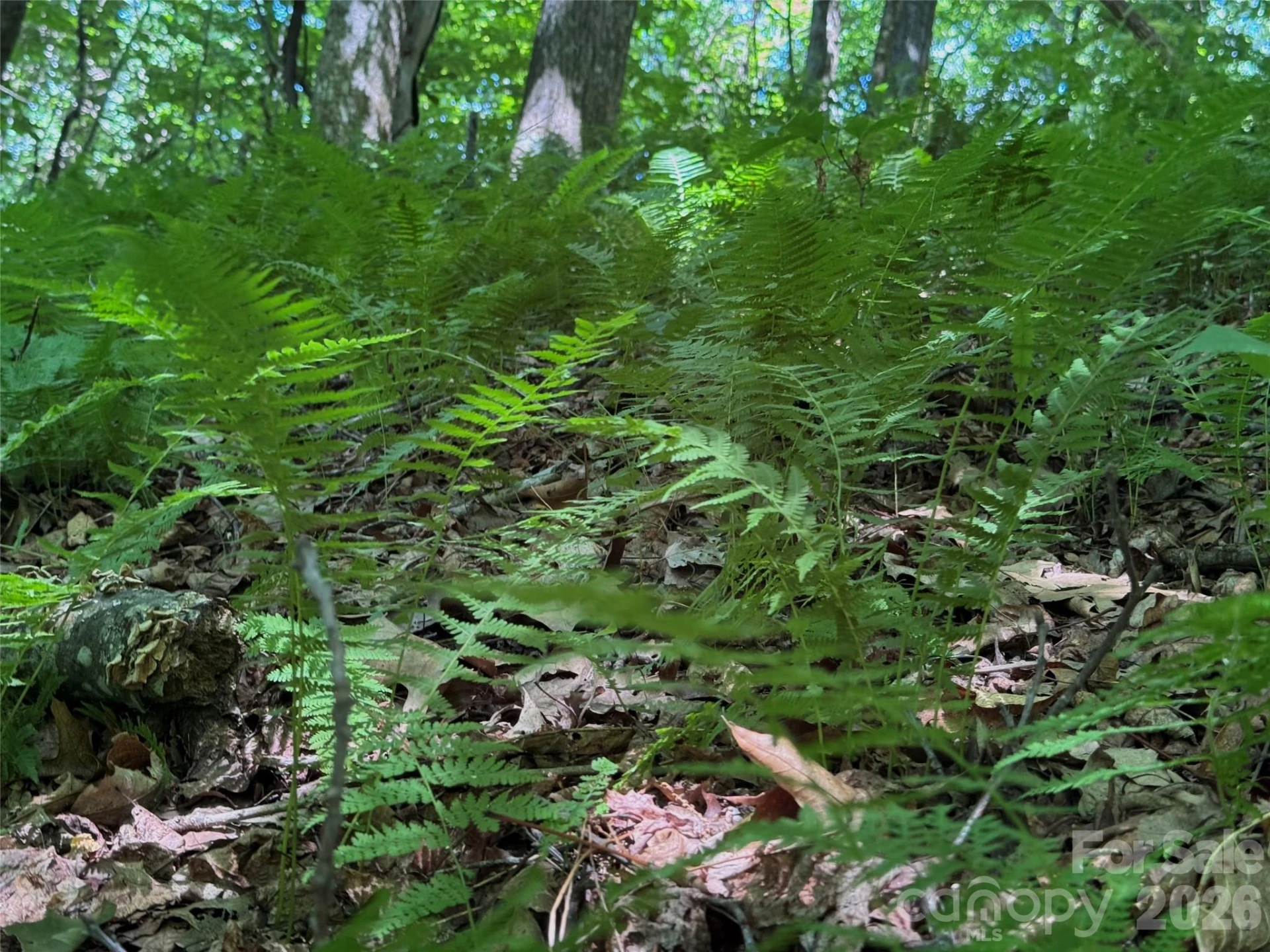 454 Forest Brook Road - Photo 24