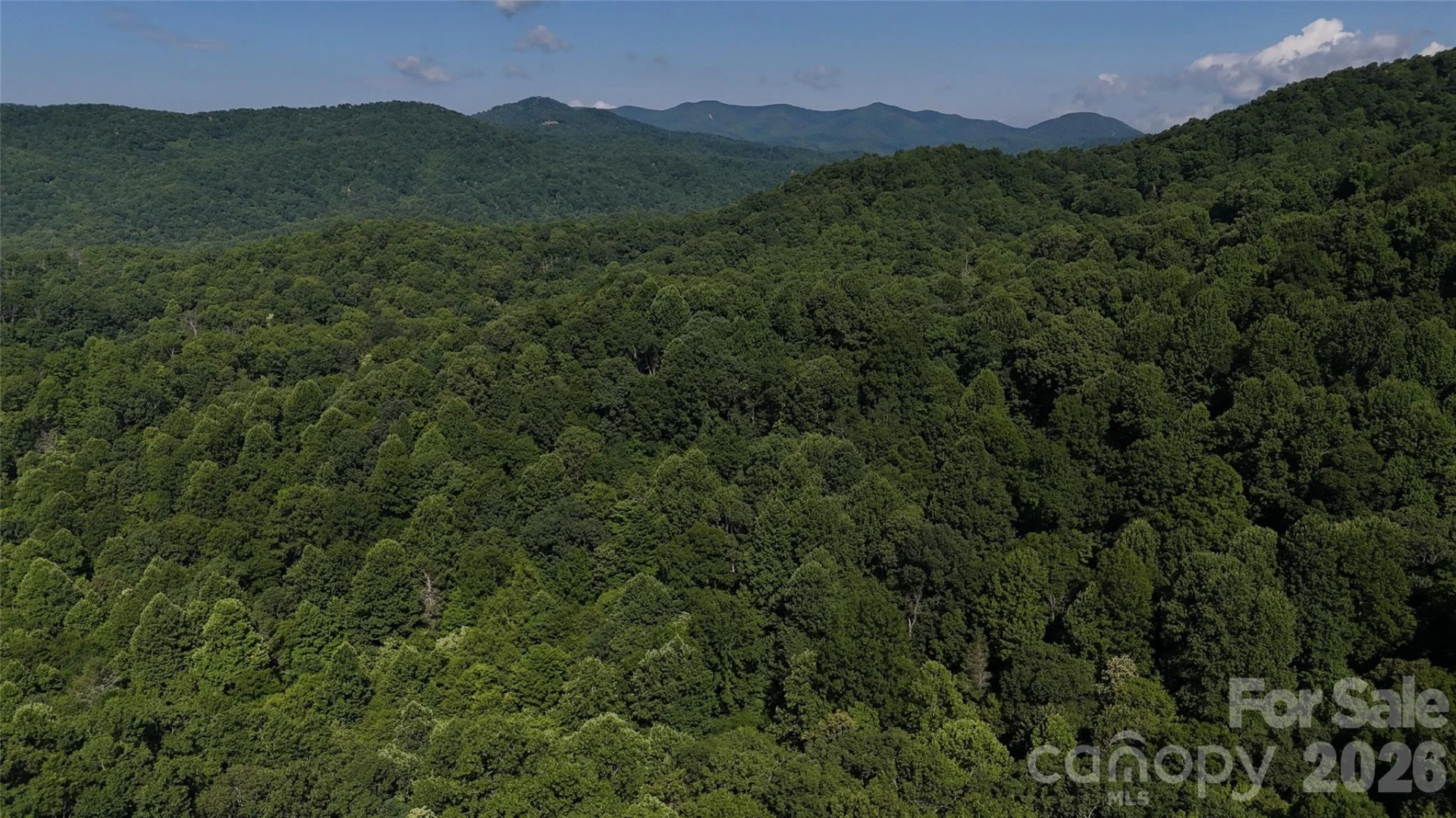 454 Forest Brook Road - Photo 4