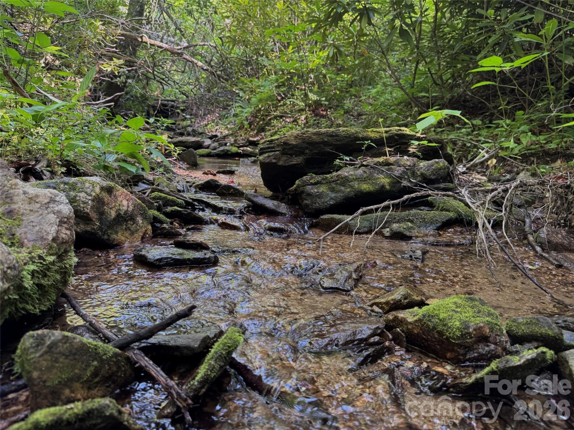 454 Forest Brook Road - Photo 5