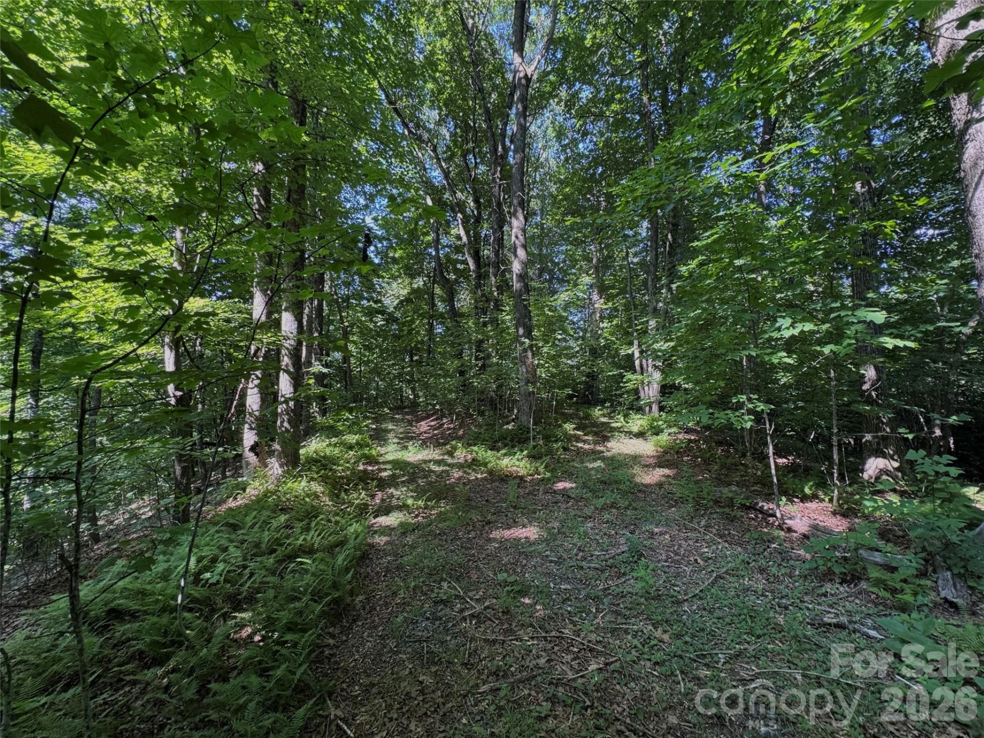 454 Forest Brook Road - Photo 6