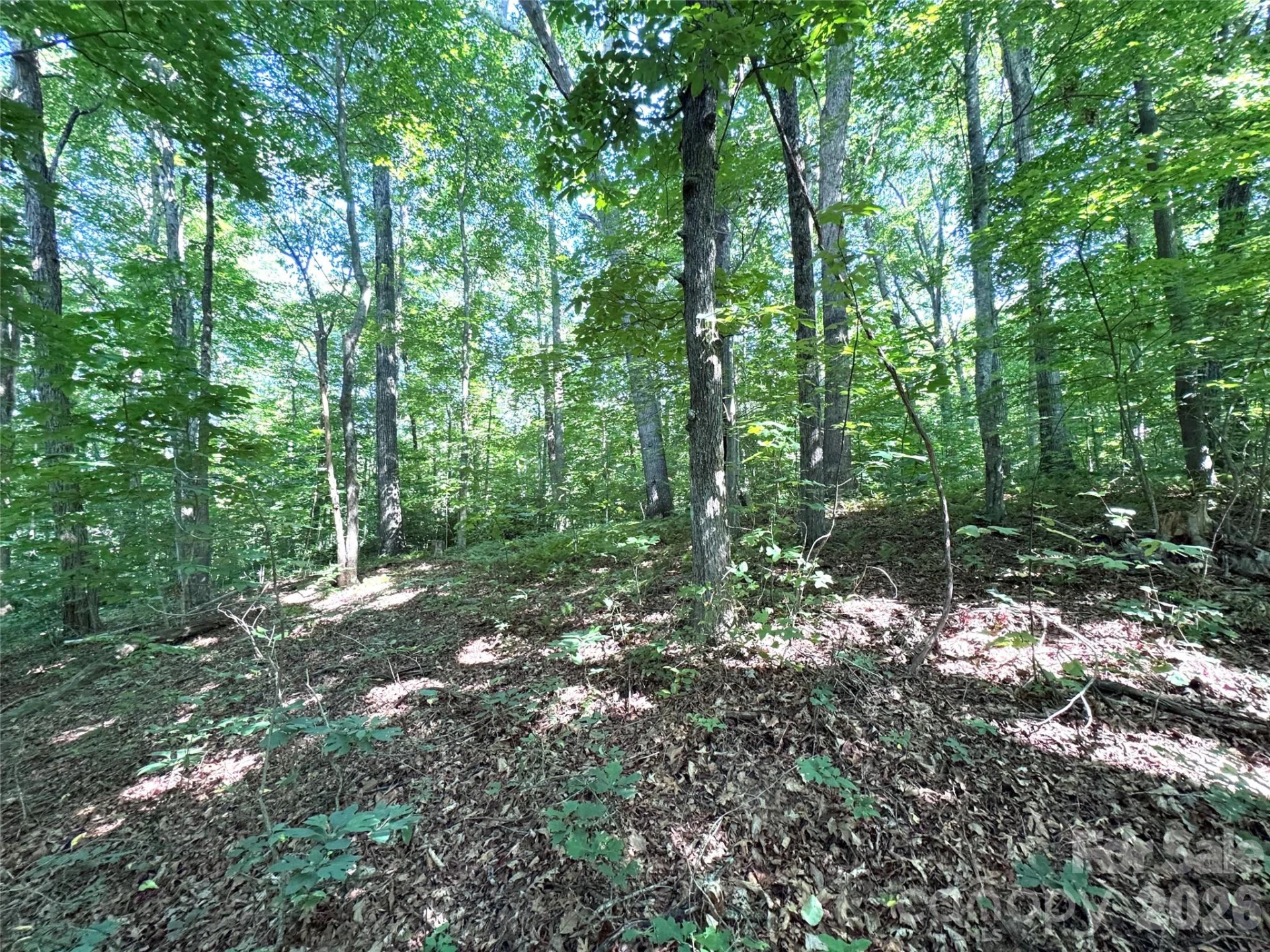 454 Forest Brook Road - Photo 7