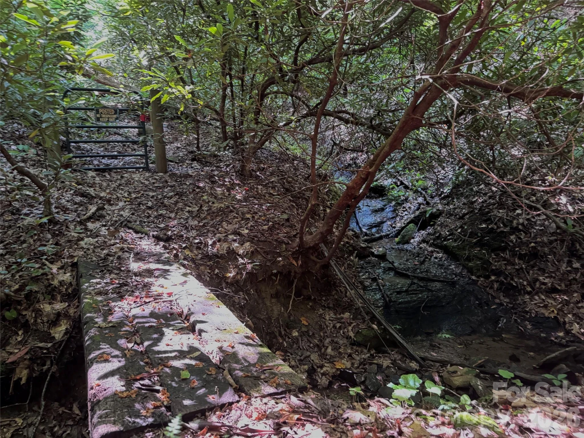 454 Forest Brook Road - Photo 9