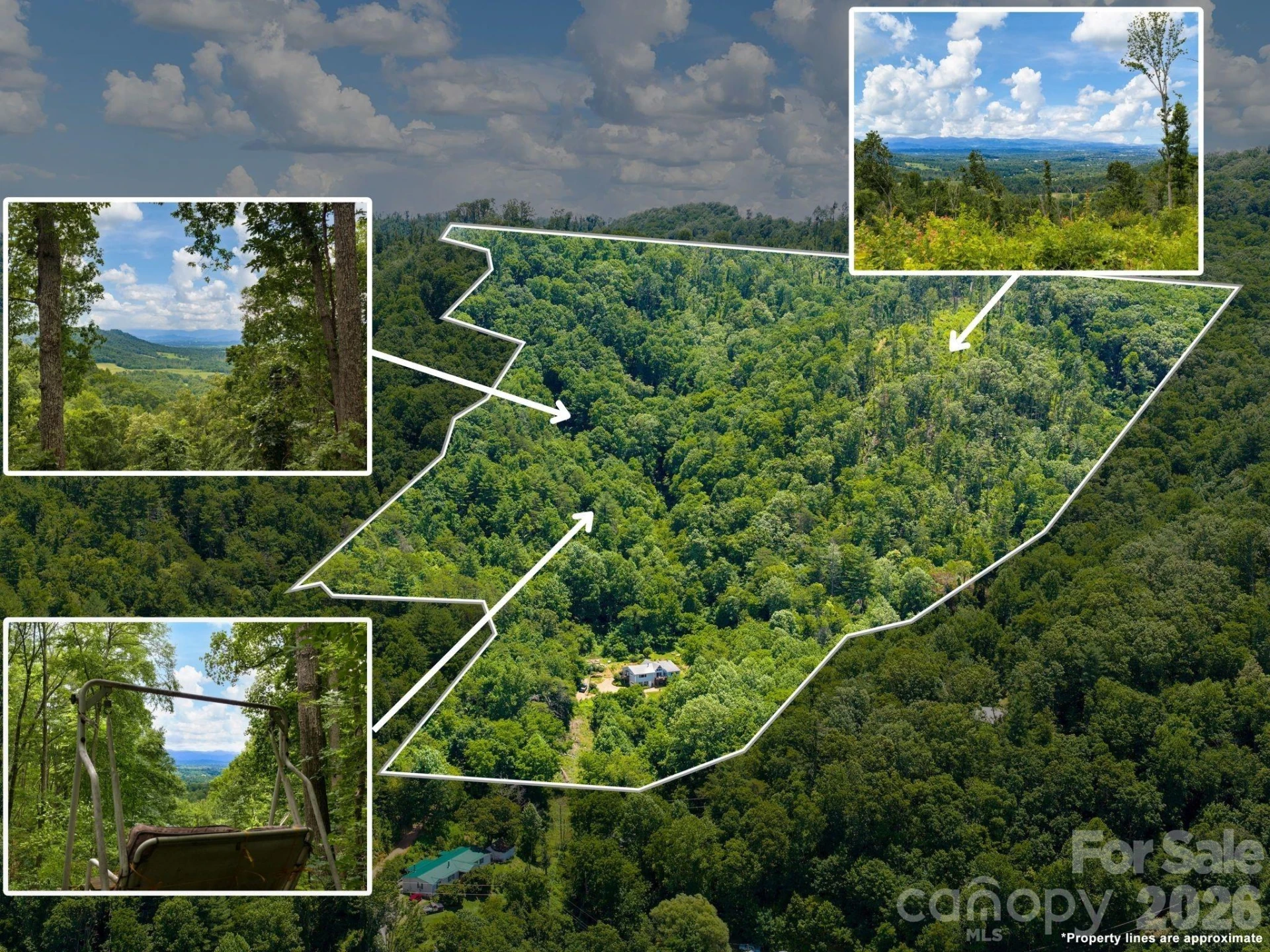 46 Perennial Ridge - Photo 2