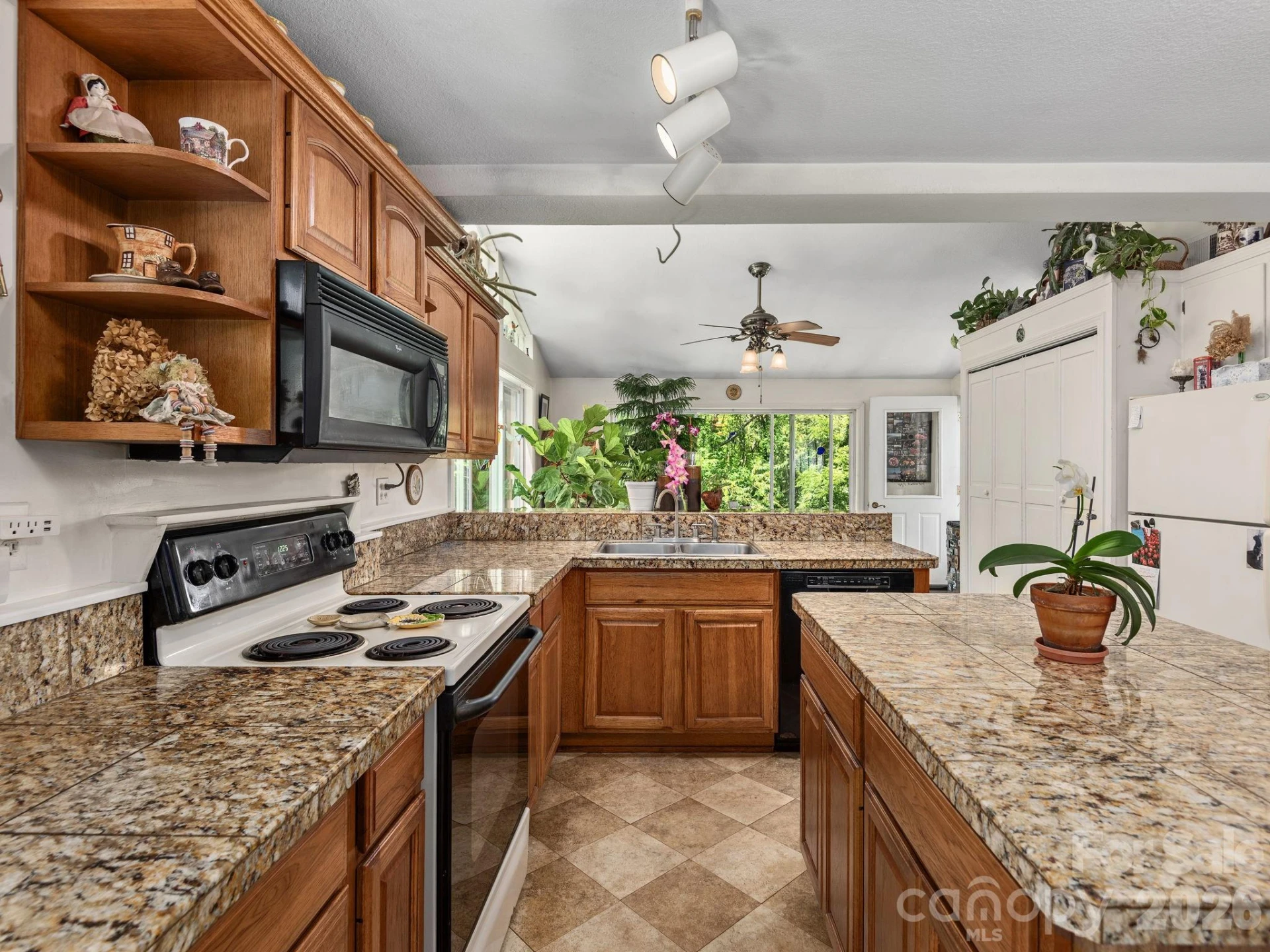 46 Perennial Ridge - Photo 13