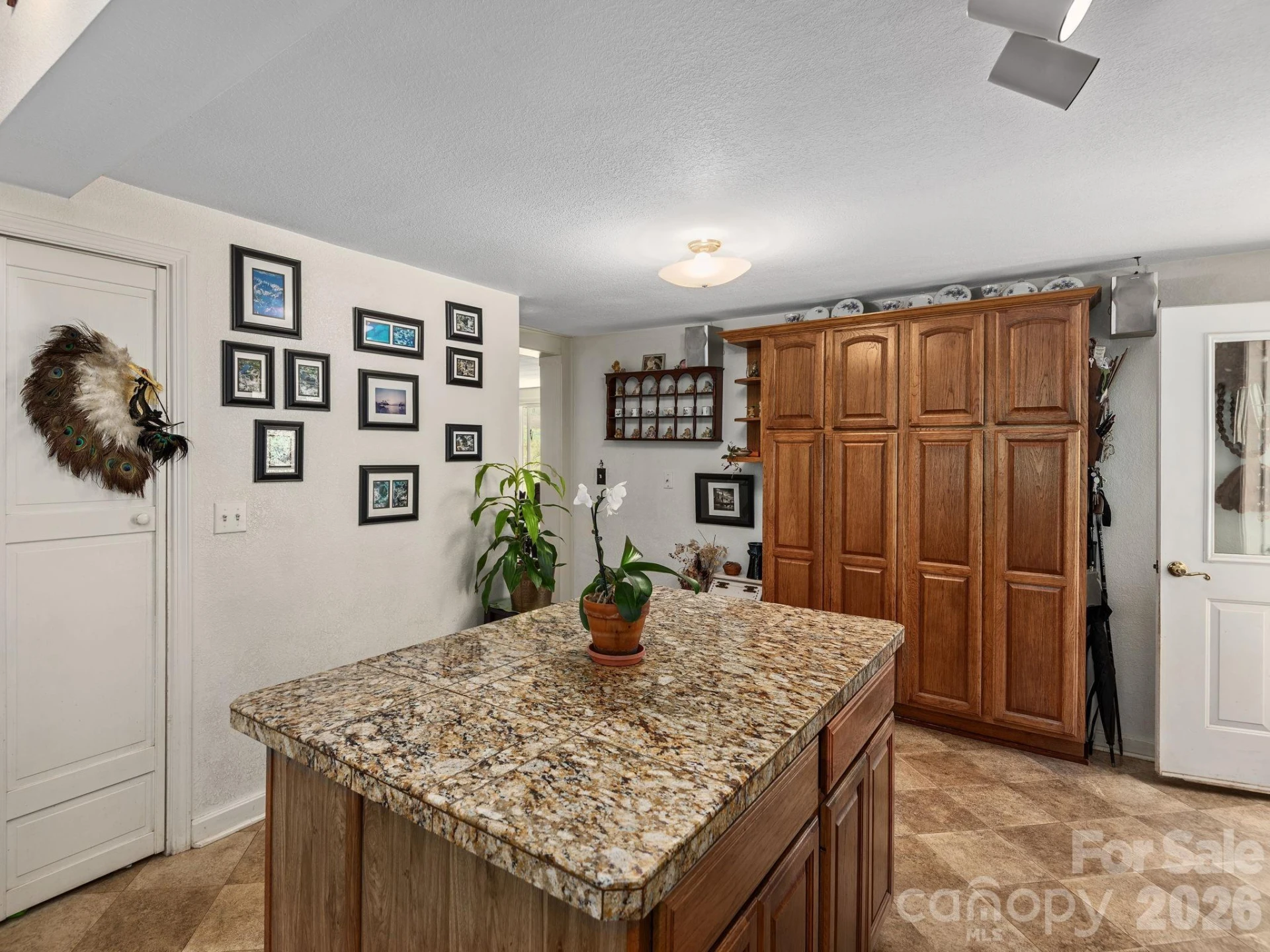 46 Perennial Ridge - Photo 14