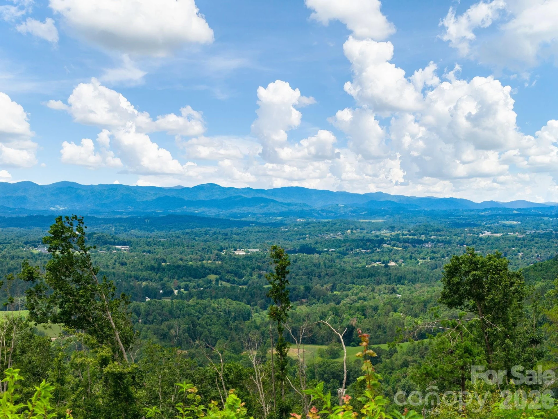 46 Perennial Ridge - Photo 3