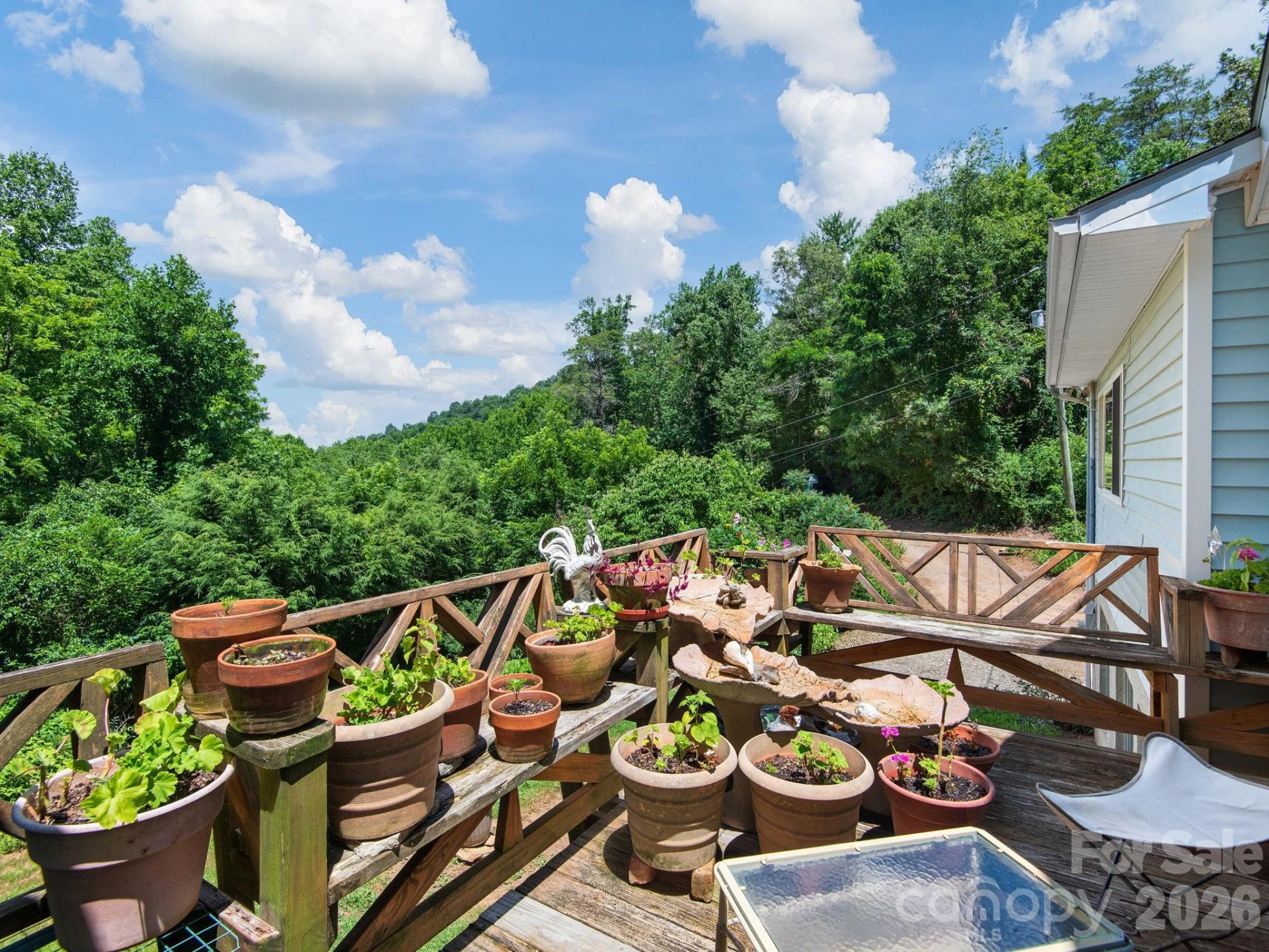 46 Perennial Ridge - Photo 26