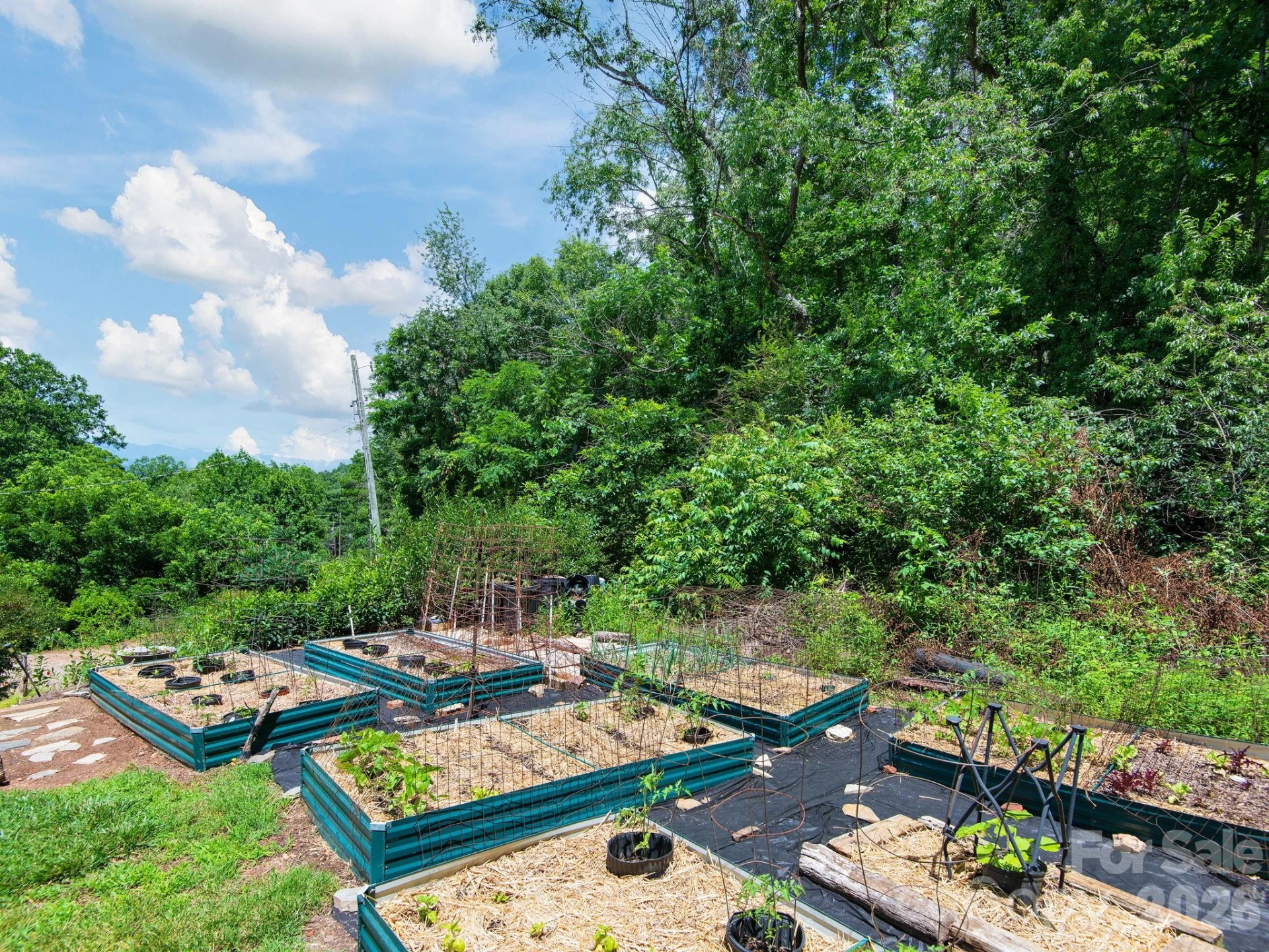 46 Perennial Ridge - Photo 28