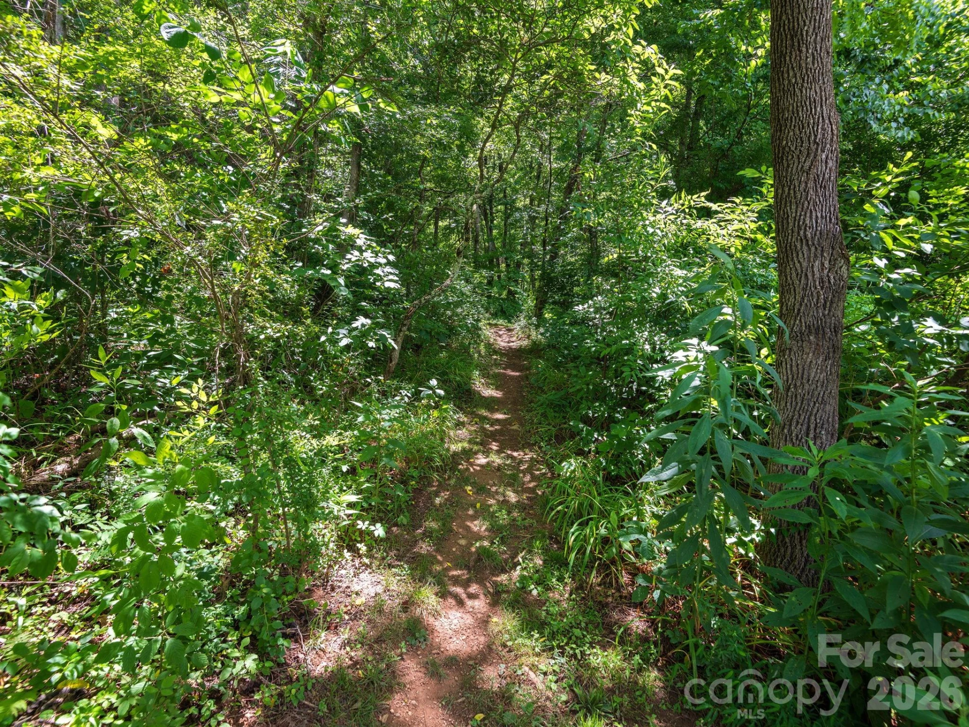 46 Perennial Ridge - Photo 33