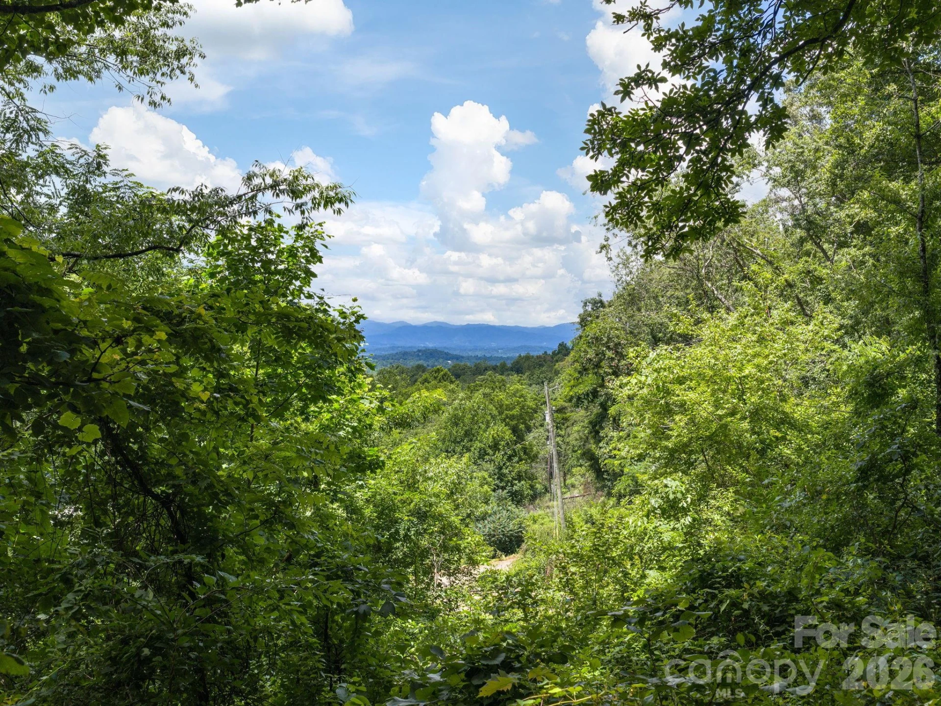 46 Perennial Ridge - Photo 34