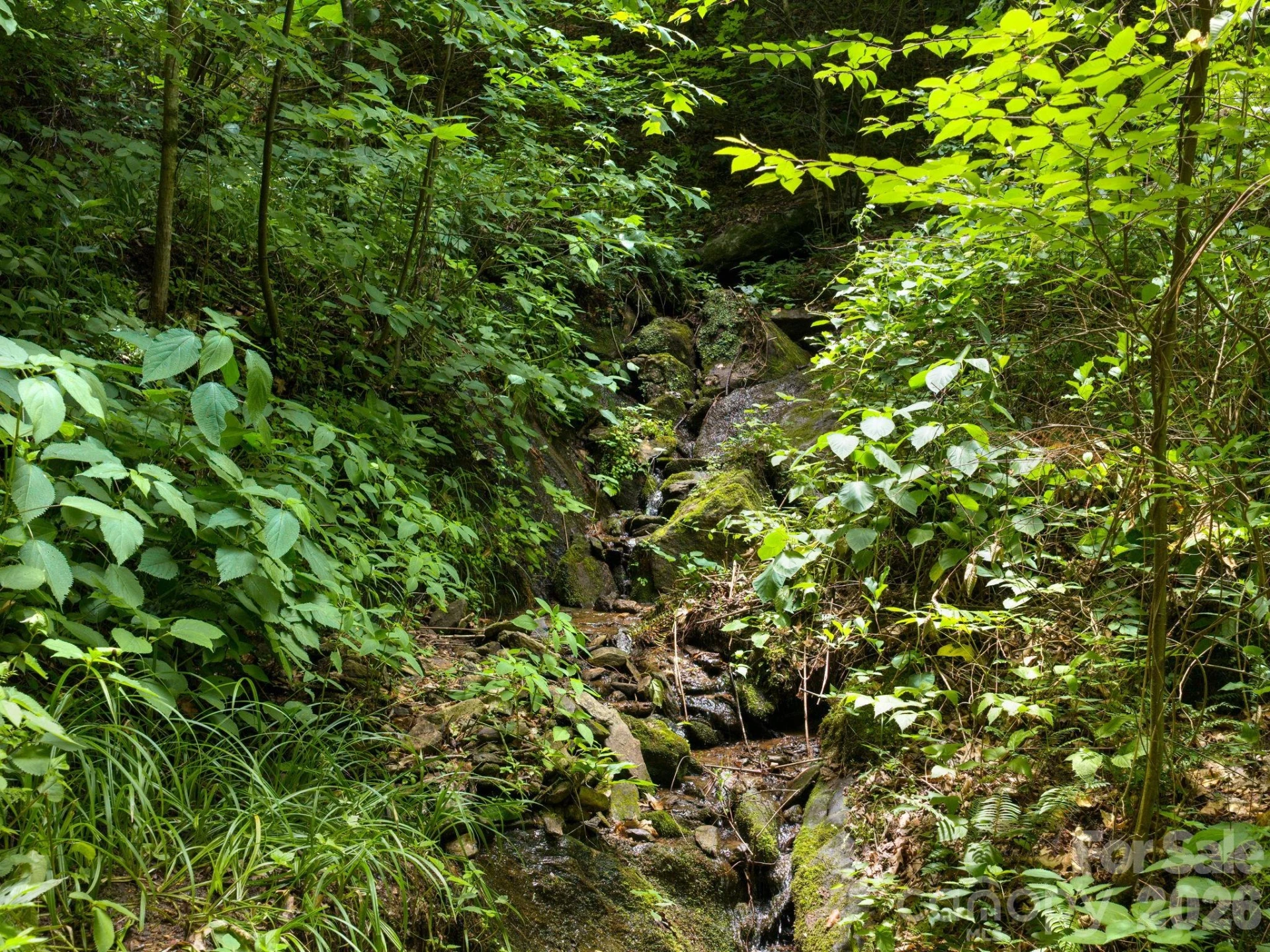 46 Perennial Ridge - Photo 35