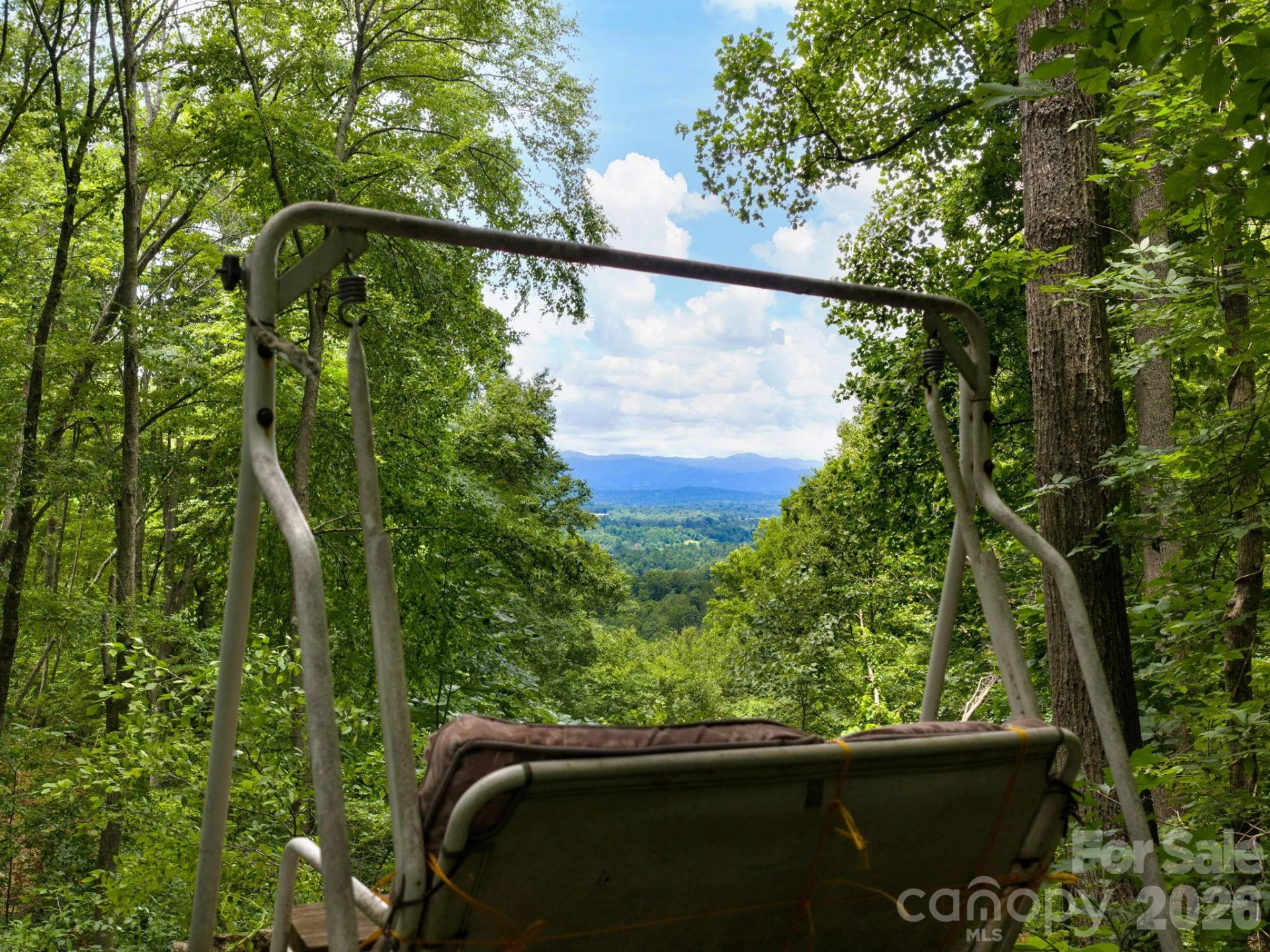 46 Perennial Ridge - Photo 36
