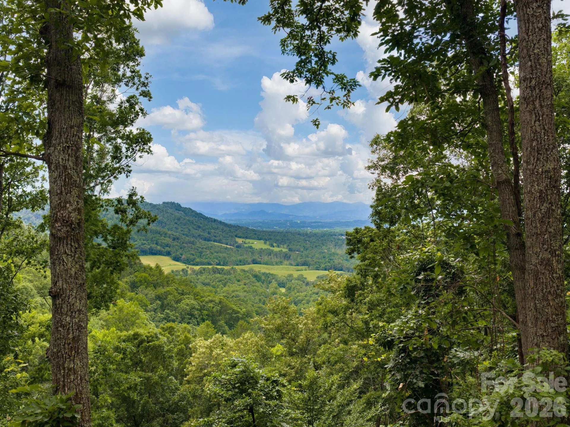 46 Perennial Ridge - Photo 37