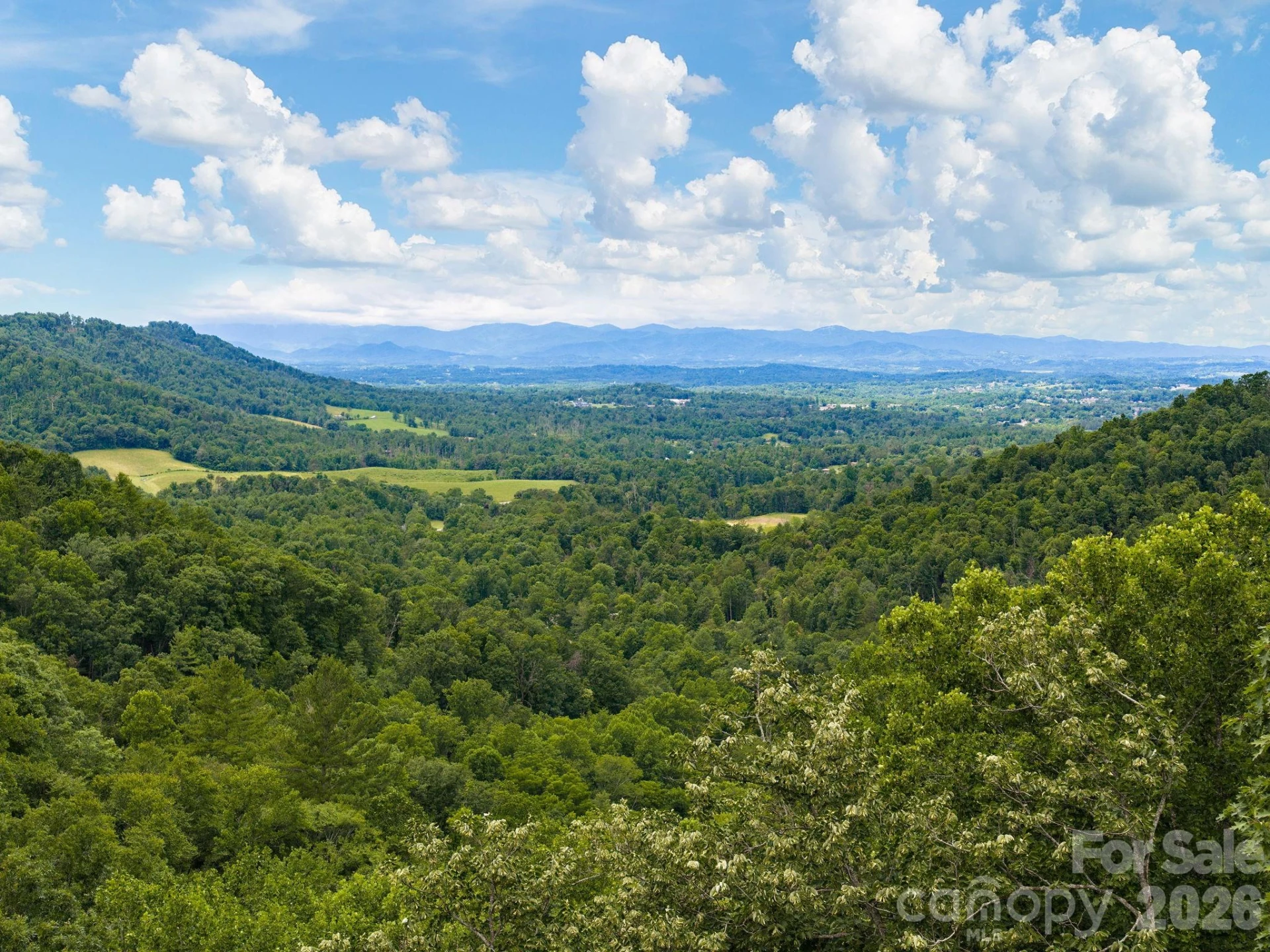 46 Perennial Ridge - Photo 38