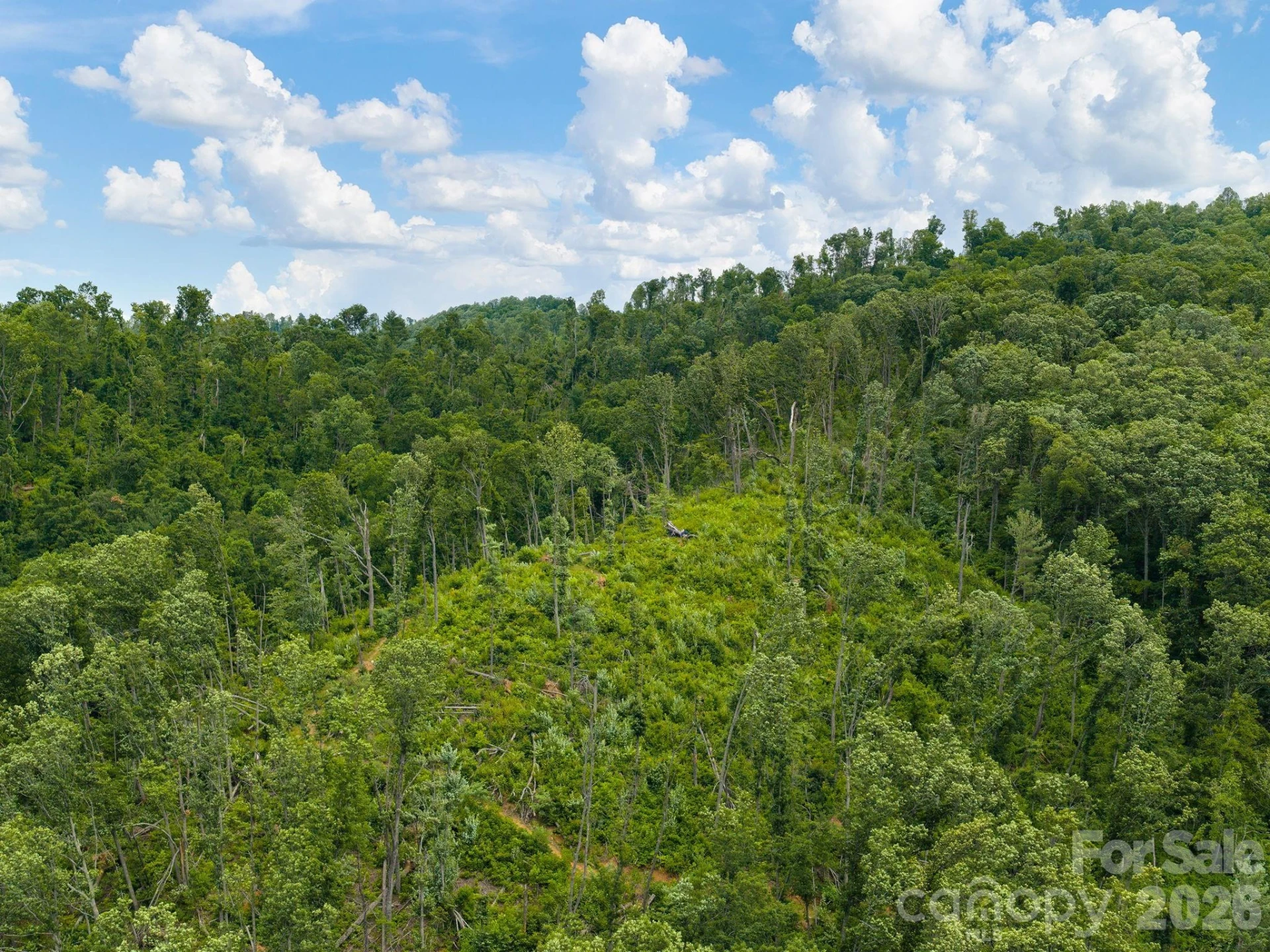 46 Perennial Ridge - Photo 39