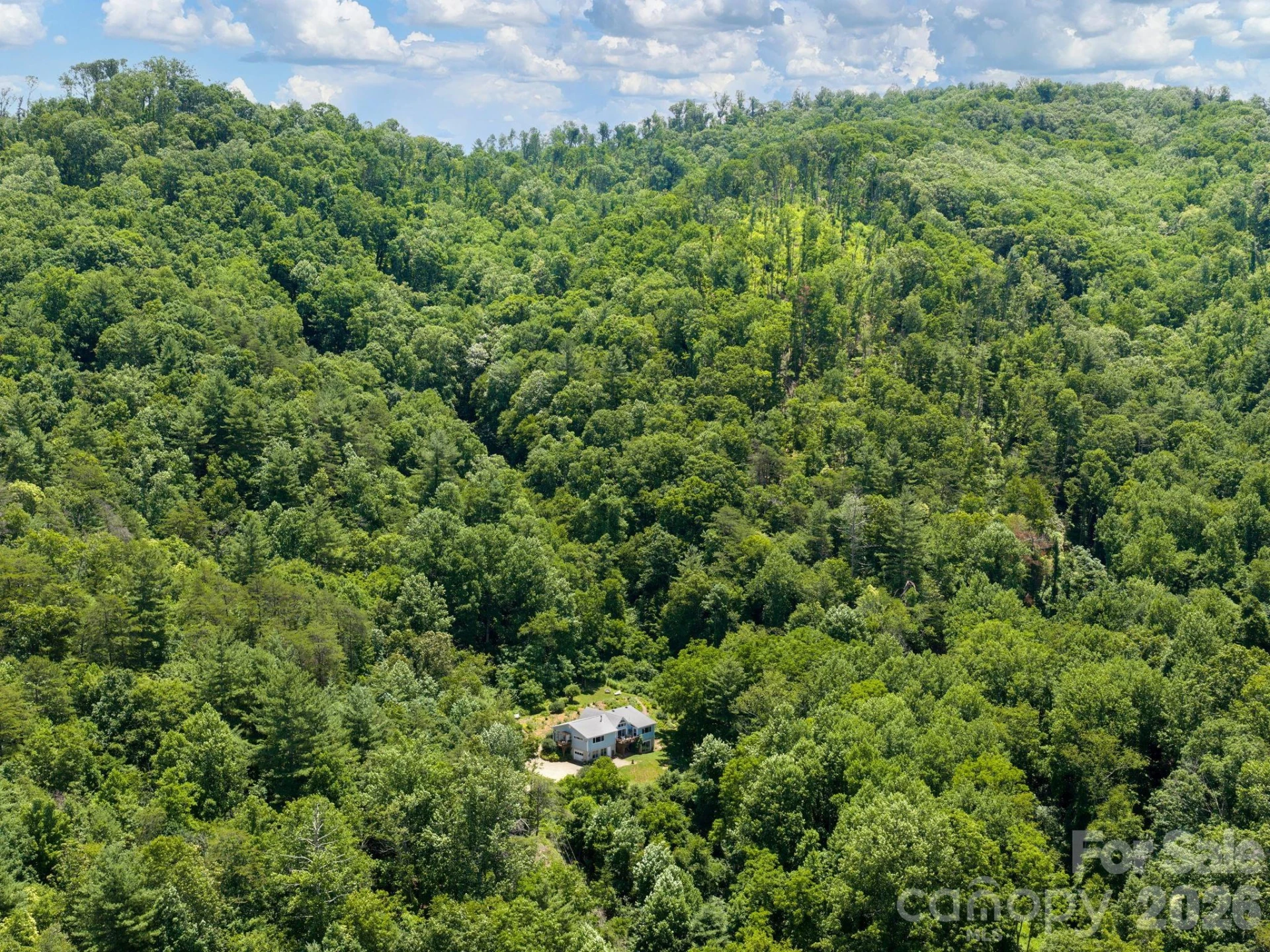 46 Perennial Ridge - Photo 40