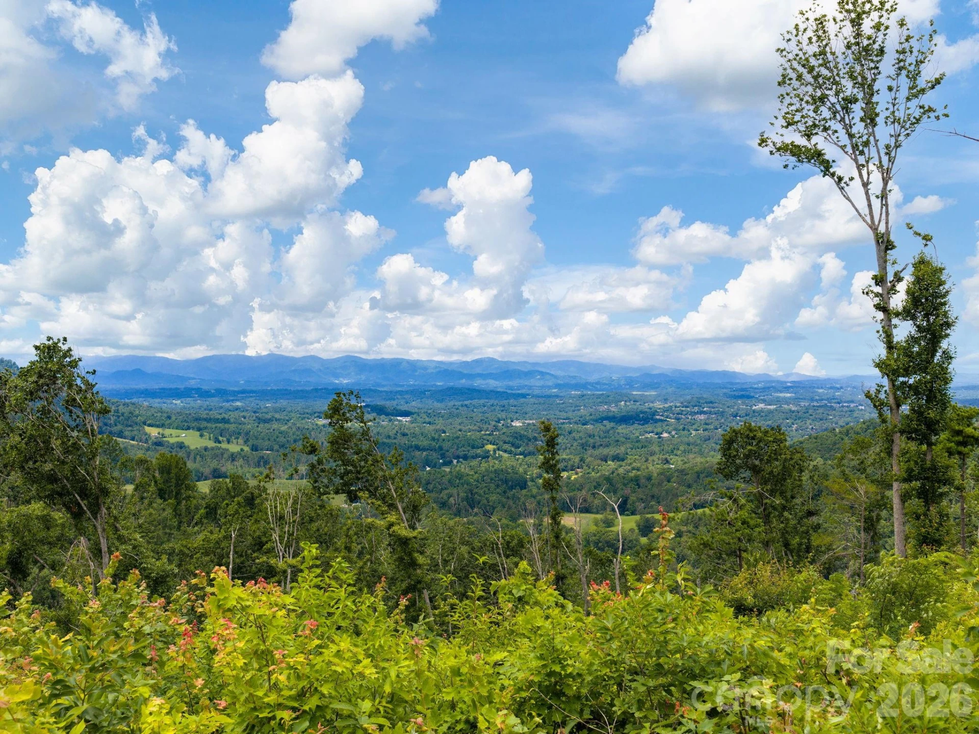 46 Perennial Ridge - Photo 41