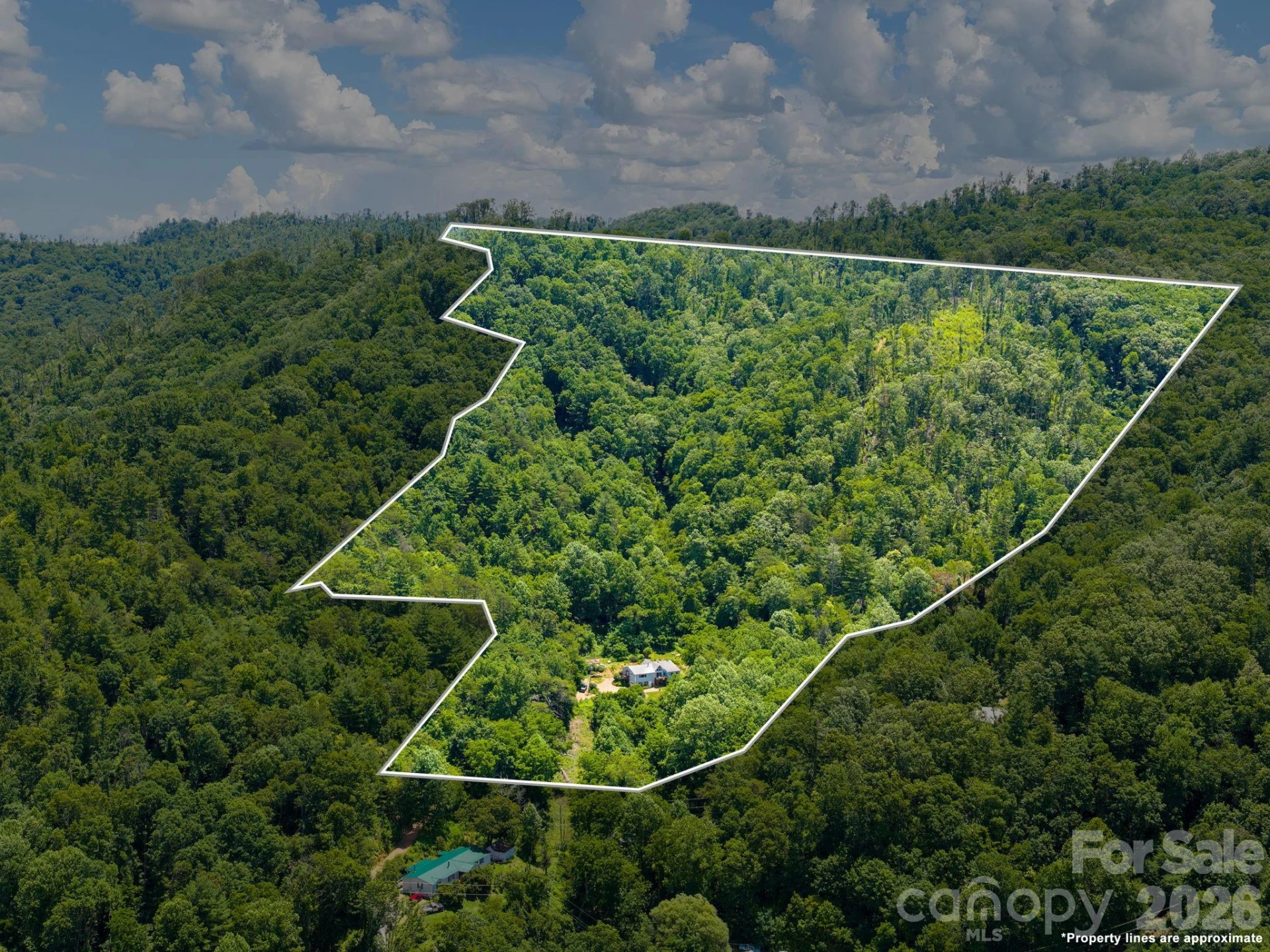 46 Perennial Ridge - Photo 43