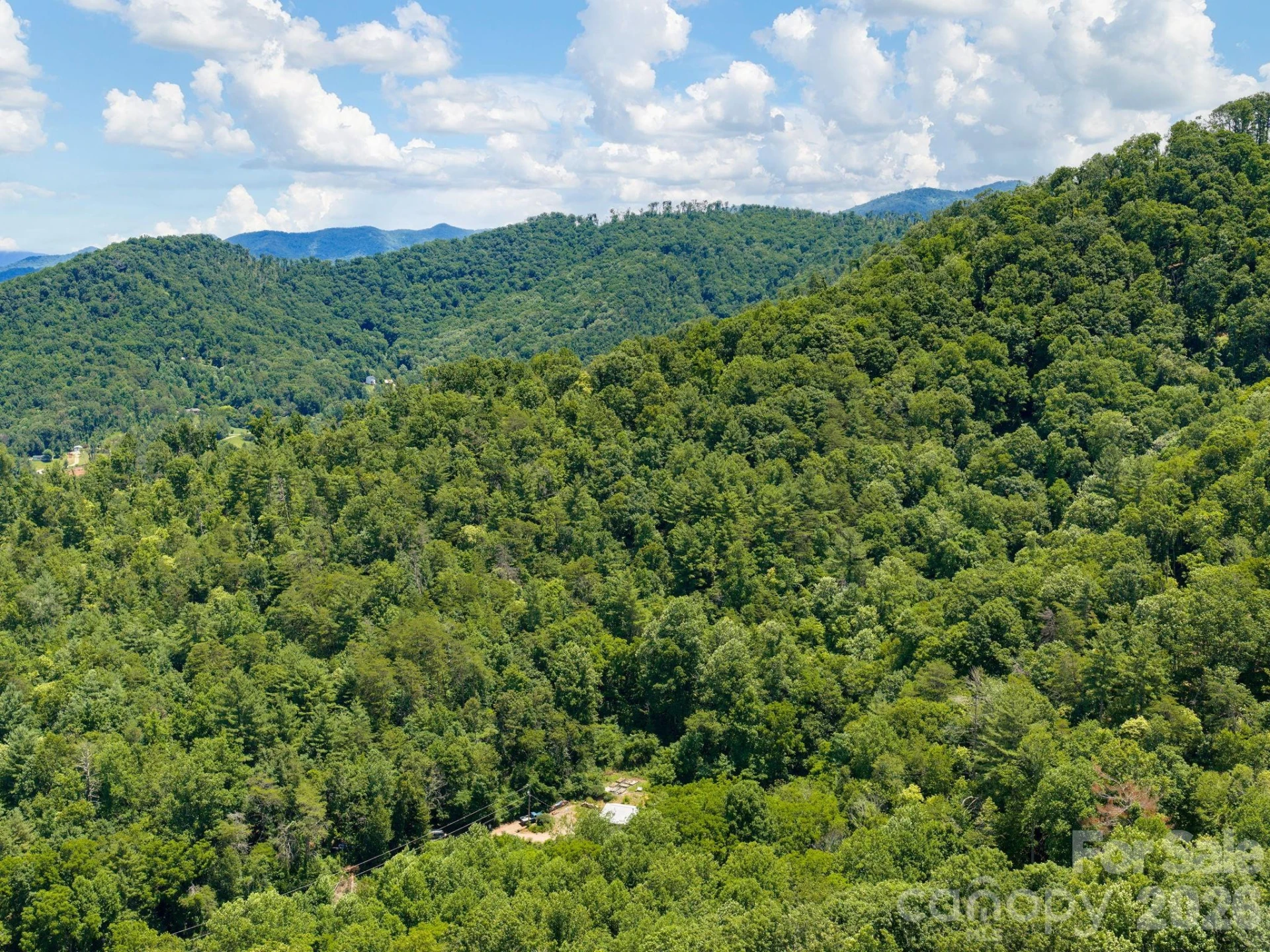 46 Perennial Ridge - Photo 44