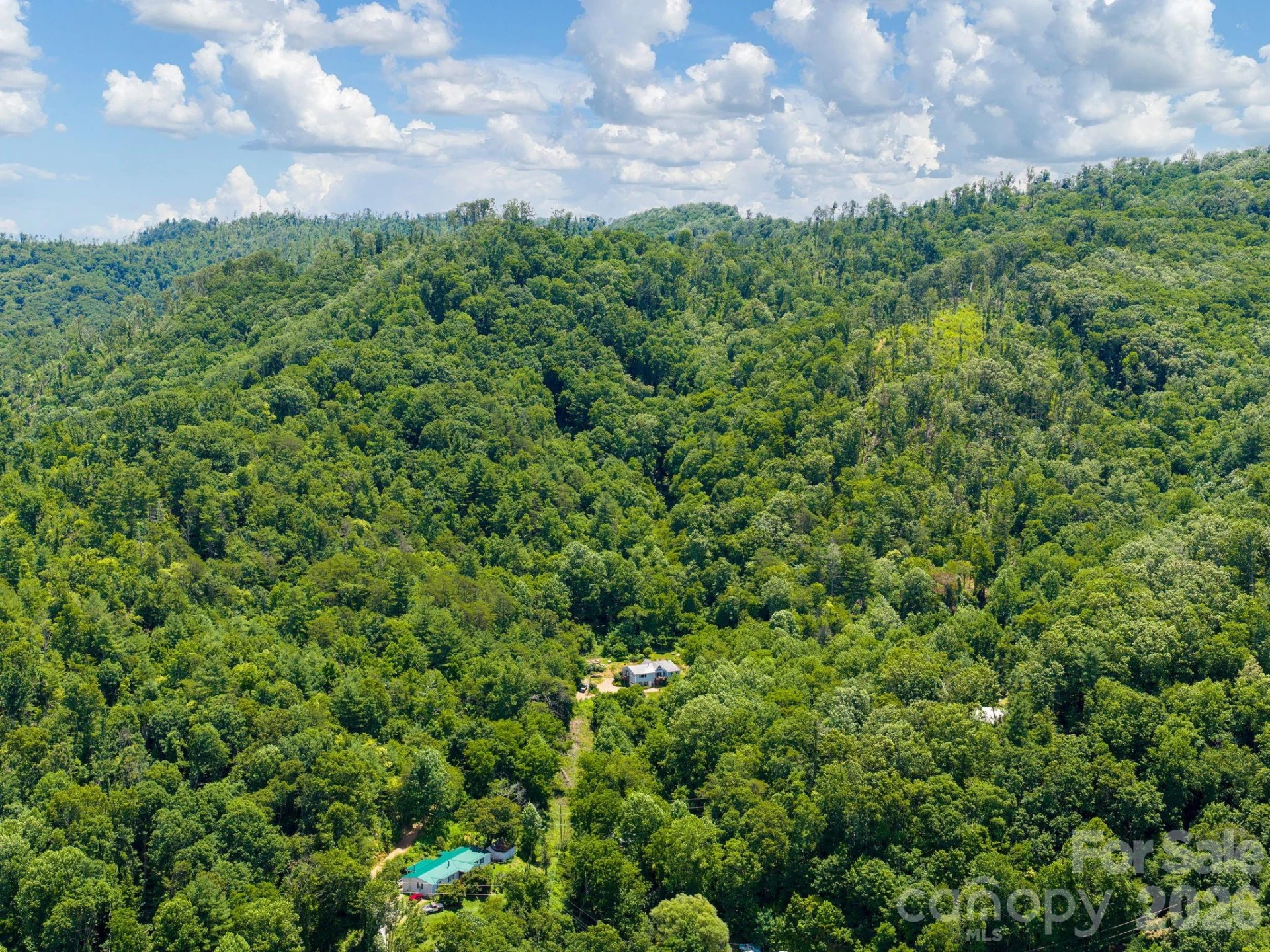 46 Perennial Ridge - Photo 45