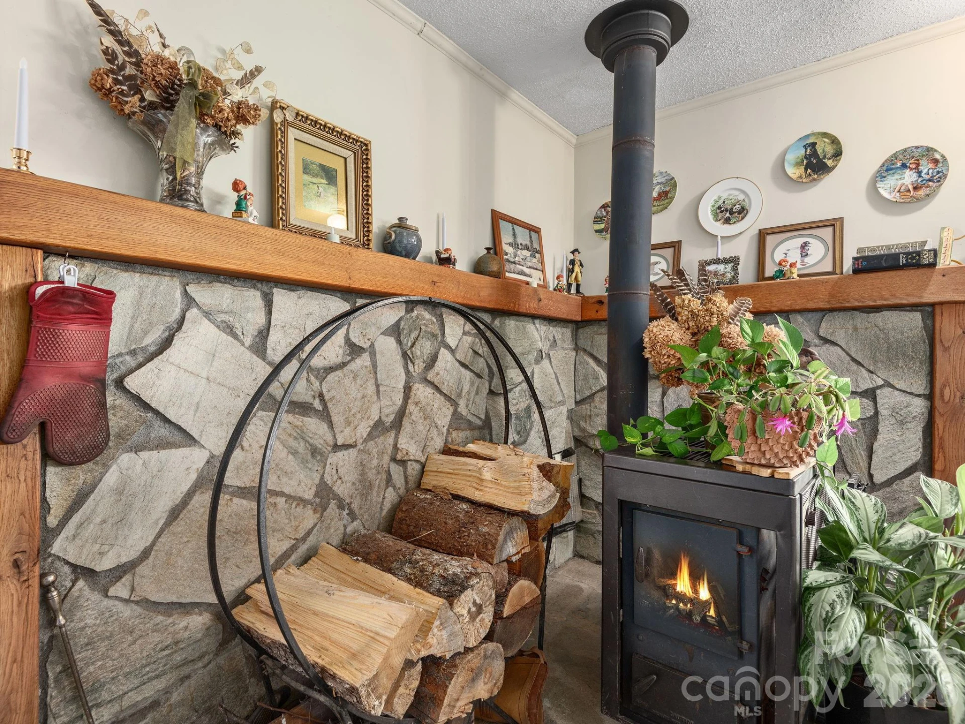 46 Perennial Ridge - Photo 9