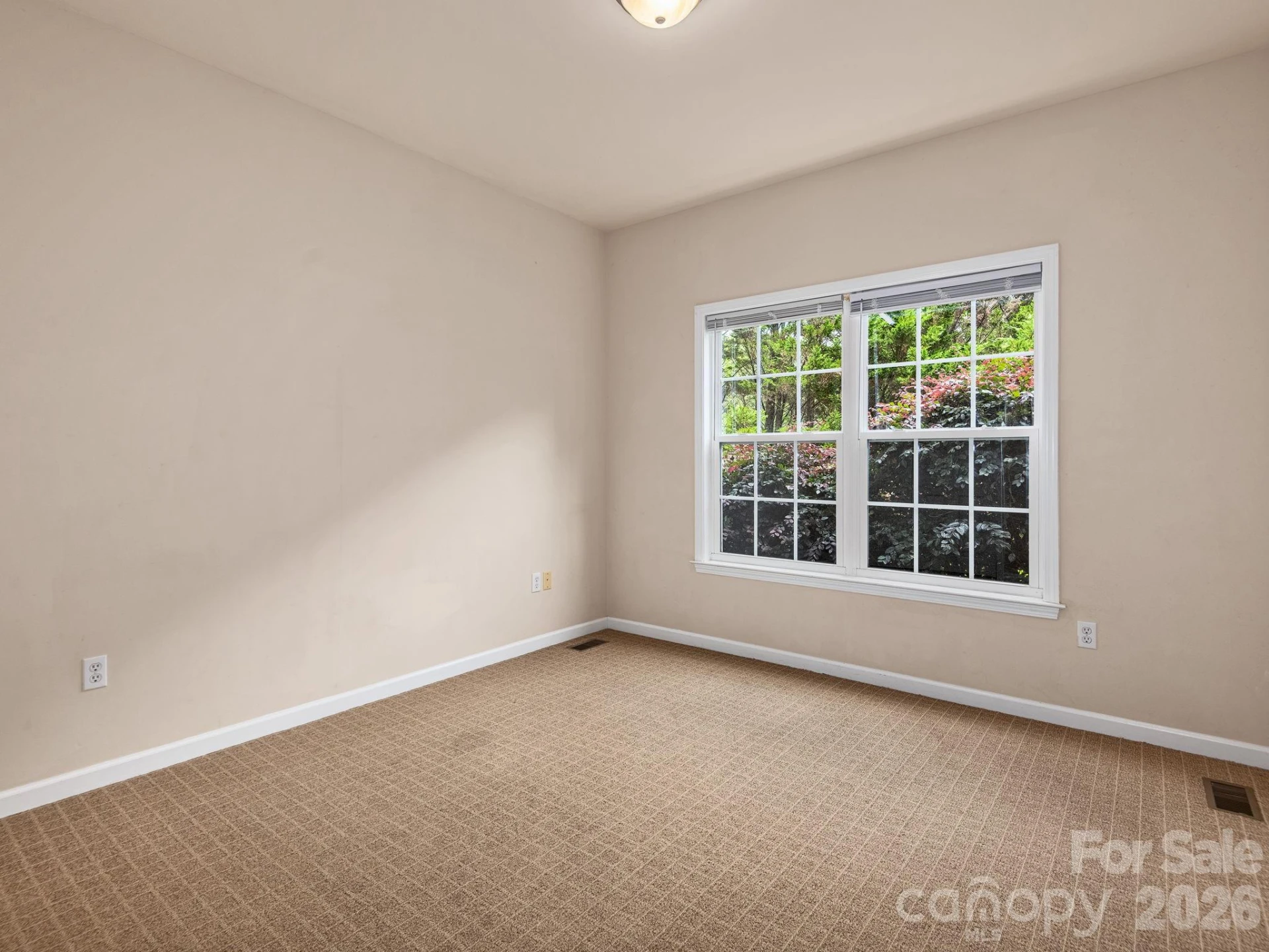 509 Shamrock Drive - Photo 14
