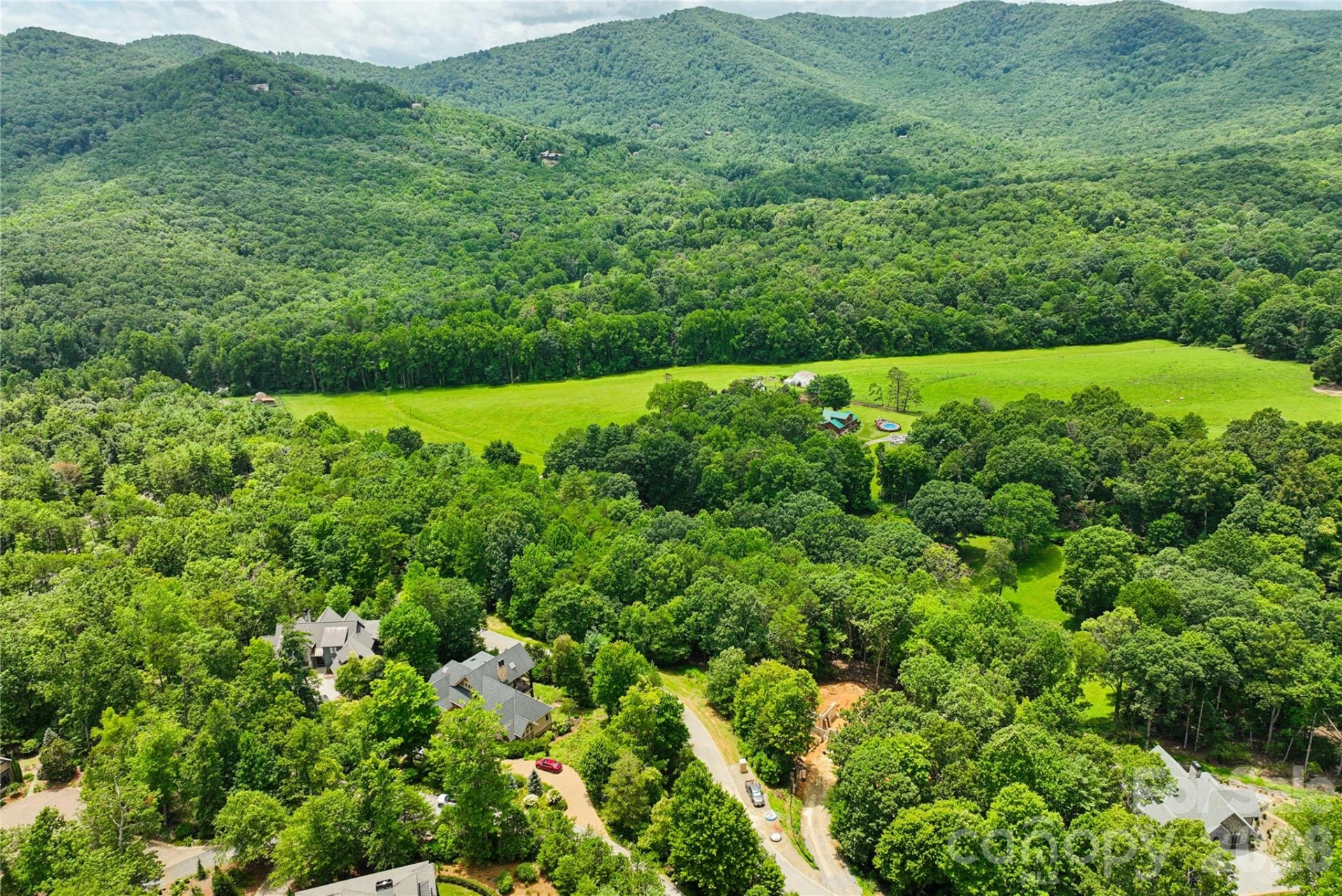 1545 Country View Way #302 - Photo 4