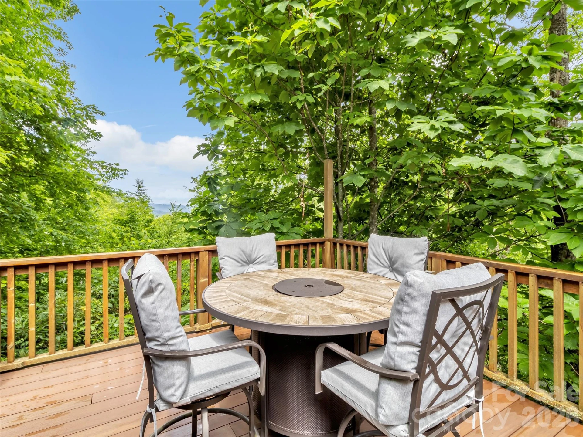 3214 Big Laurel Road - Photo 19