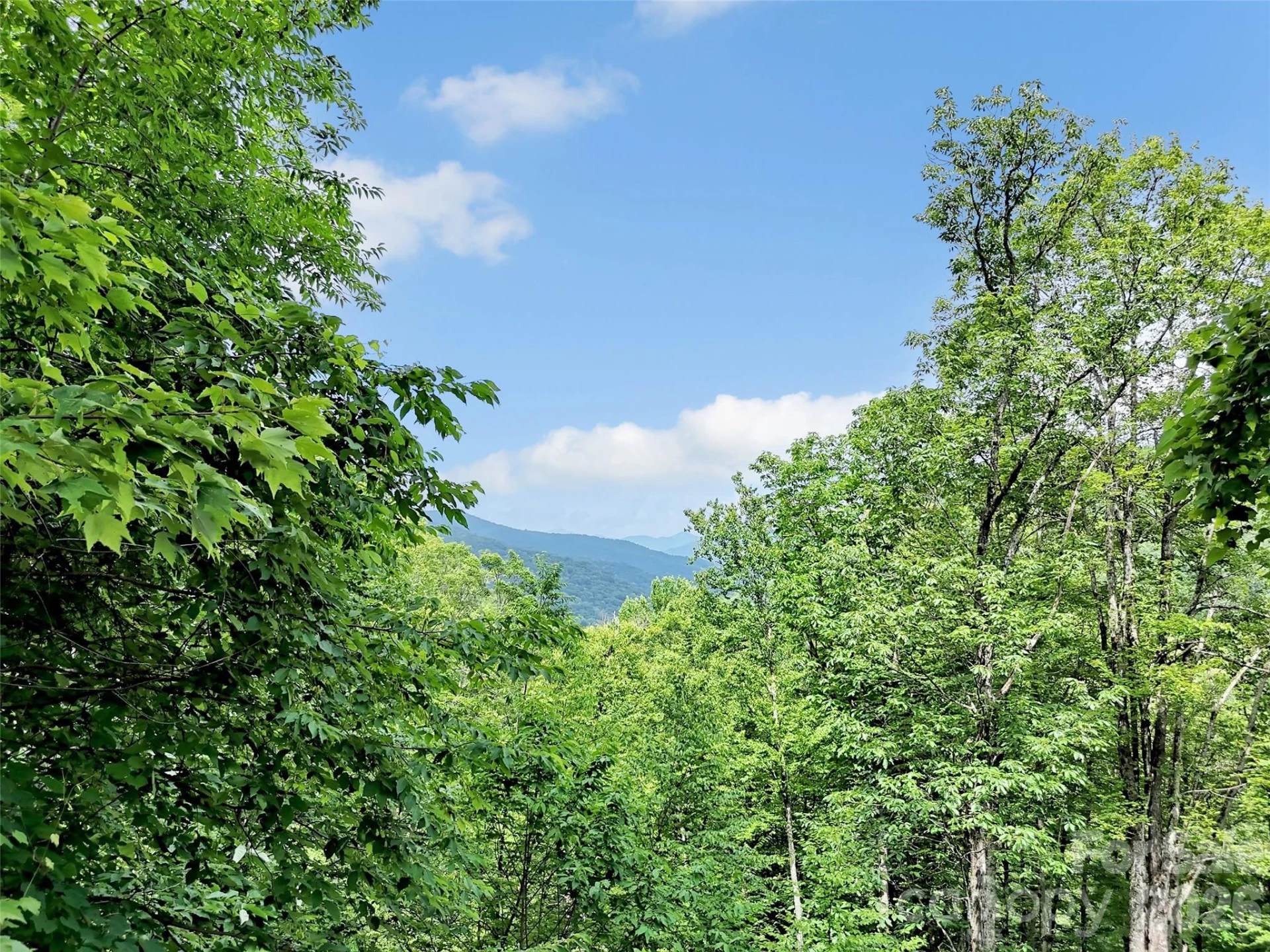 3214 Big Laurel Road - Photo 20