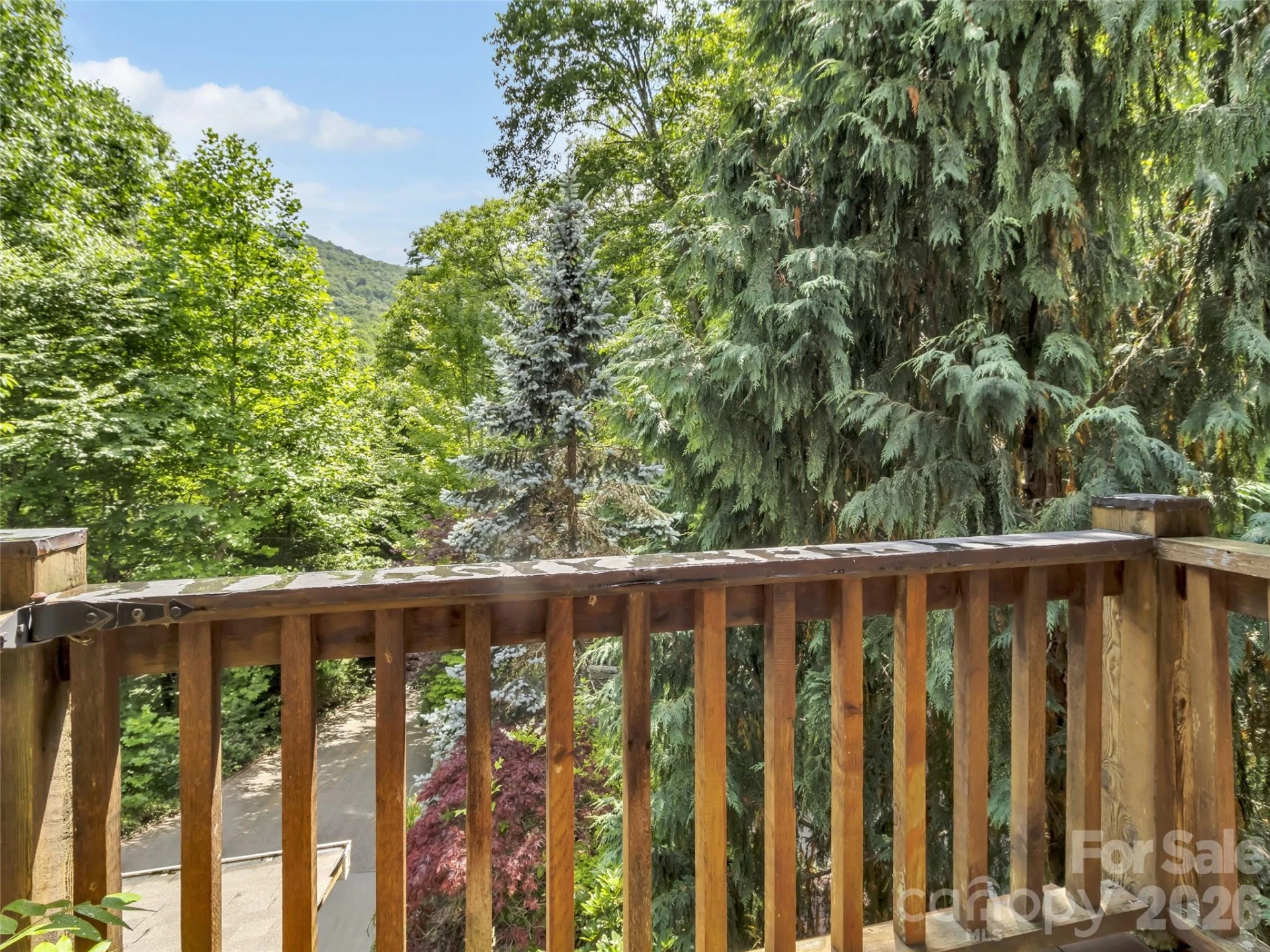 3214 Big Laurel Road - Photo 29