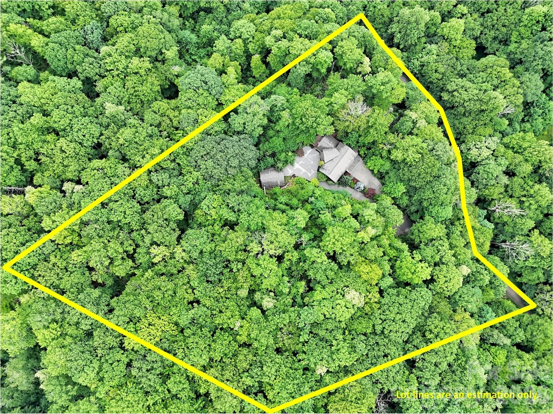 3214 Big Laurel Road - Photo 44