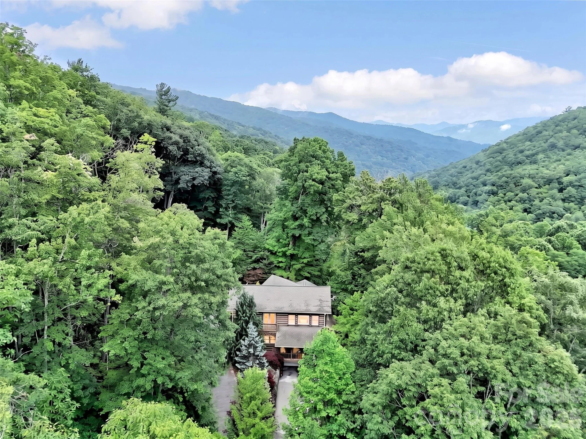 3214 Big Laurel Road - Photo 47